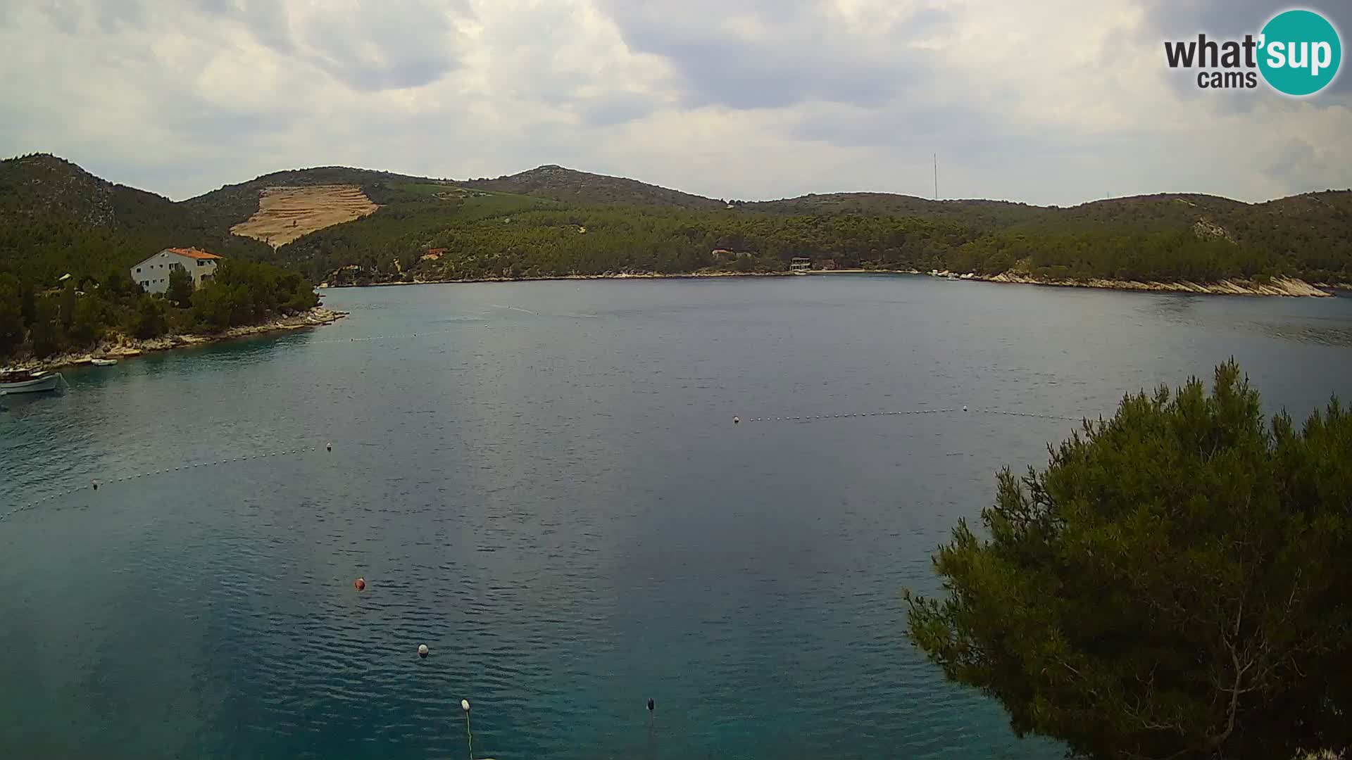 Camera Hvar Vira playa | Isla de Hvar | Dalmacia