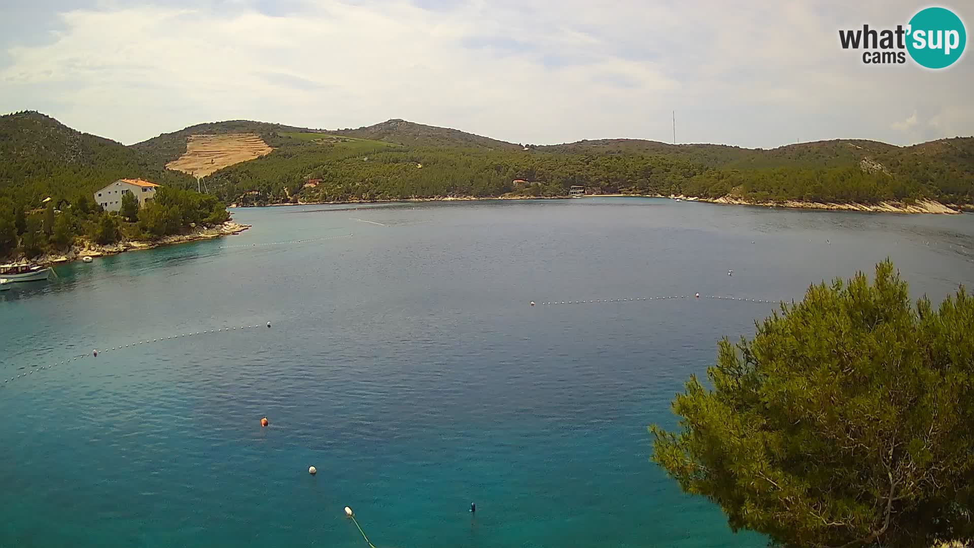 Camera Hvar Vira playa | Isla de Hvar | Dalmacia