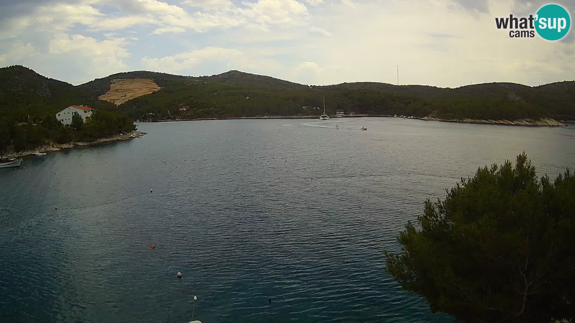 Web kamera Hvar Vira plaža | otok Hvar | Dalmacija