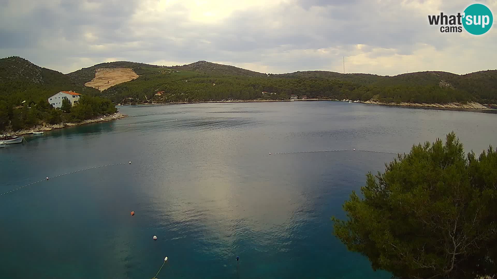 Camera Hvar Vira playa | Isla de Hvar | Dalmacia