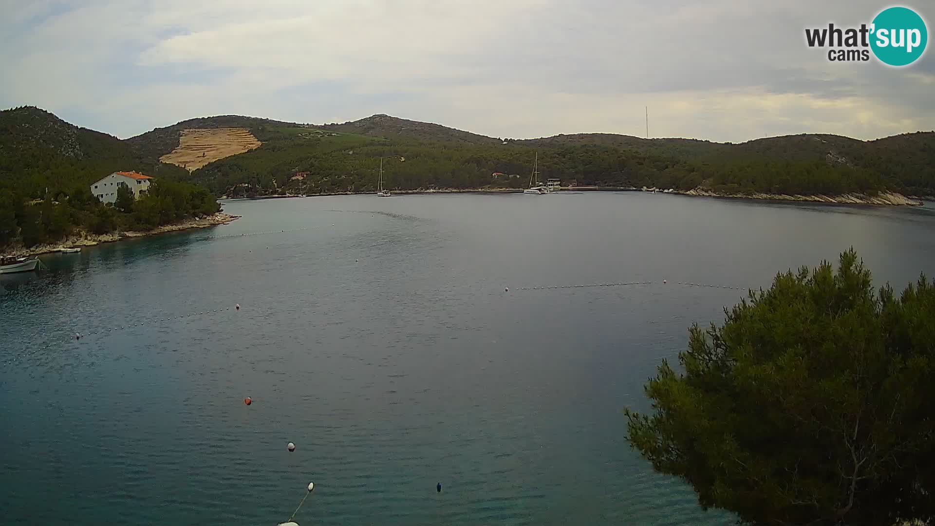 Hvar webcam Vira Strand | Hvar Insel | Dalmatien