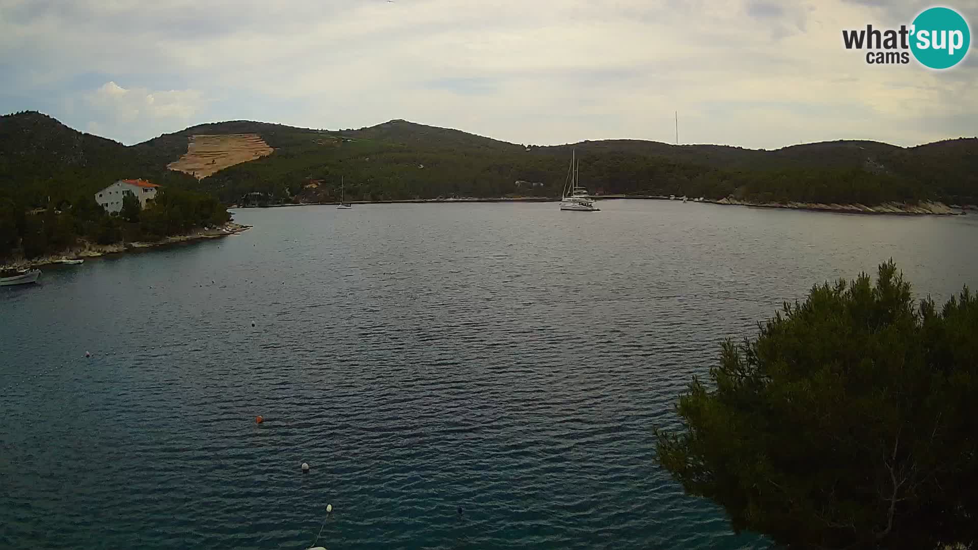 Web kamera Hvar Vira plaža | otok Hvar | Dalmacija