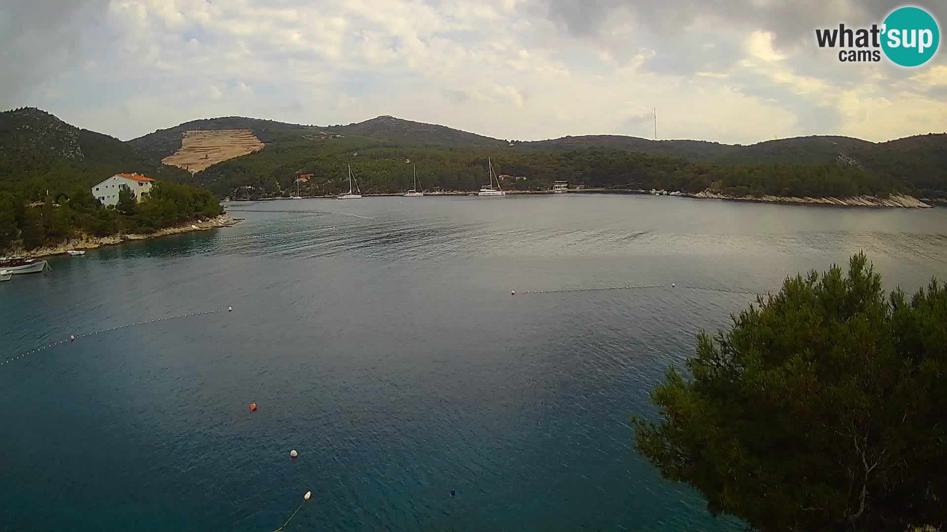 Camera Hvar Vira playa | Isla de Hvar | Dalmacia