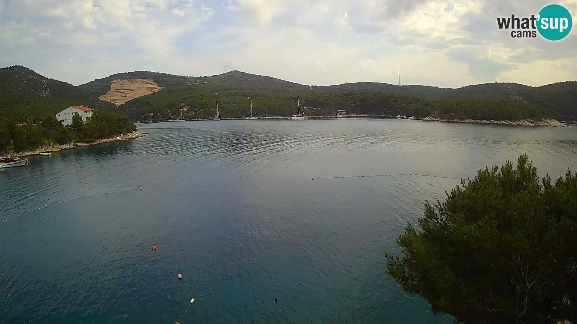 Camera Hvar Vira playa | Isla de Hvar | Dalmacia