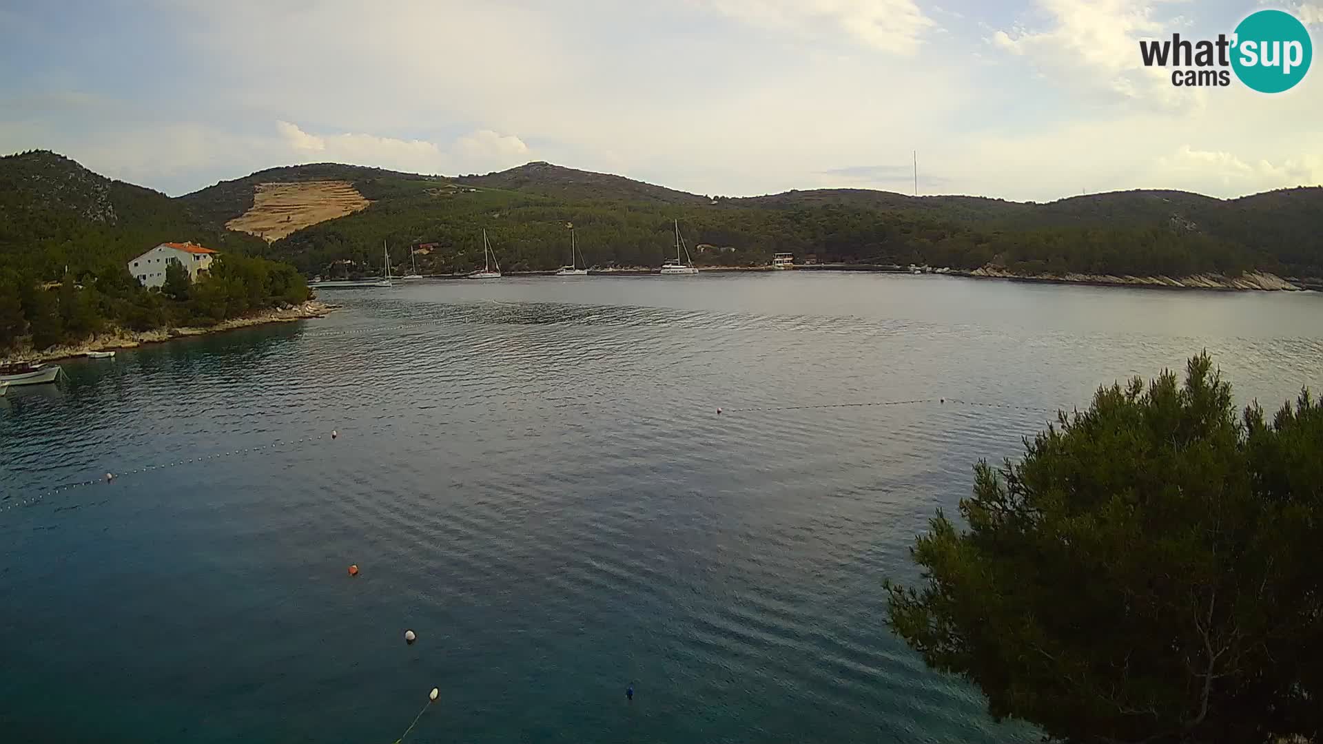 Web kamera Hvar Vira plaža | otok Hvar | Dalmacija