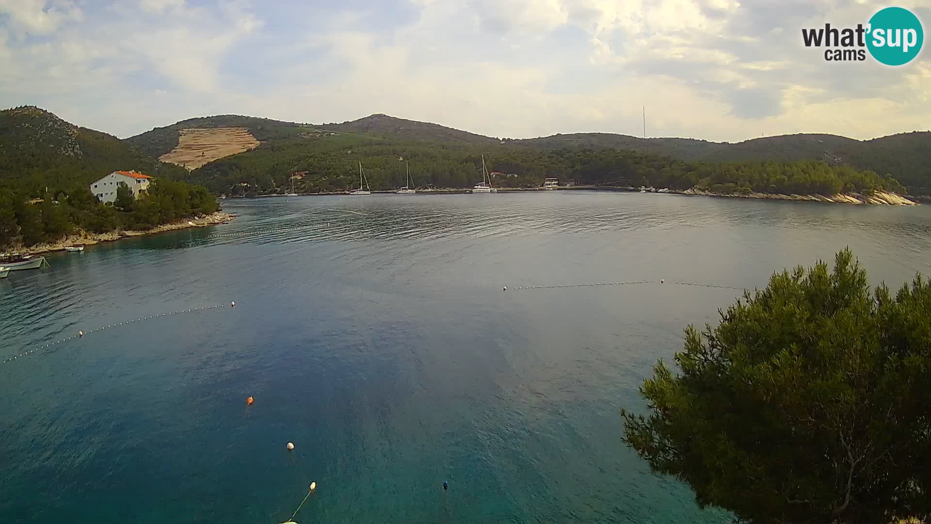 Camera Hvar Vira playa | Isla de Hvar | Dalmacia