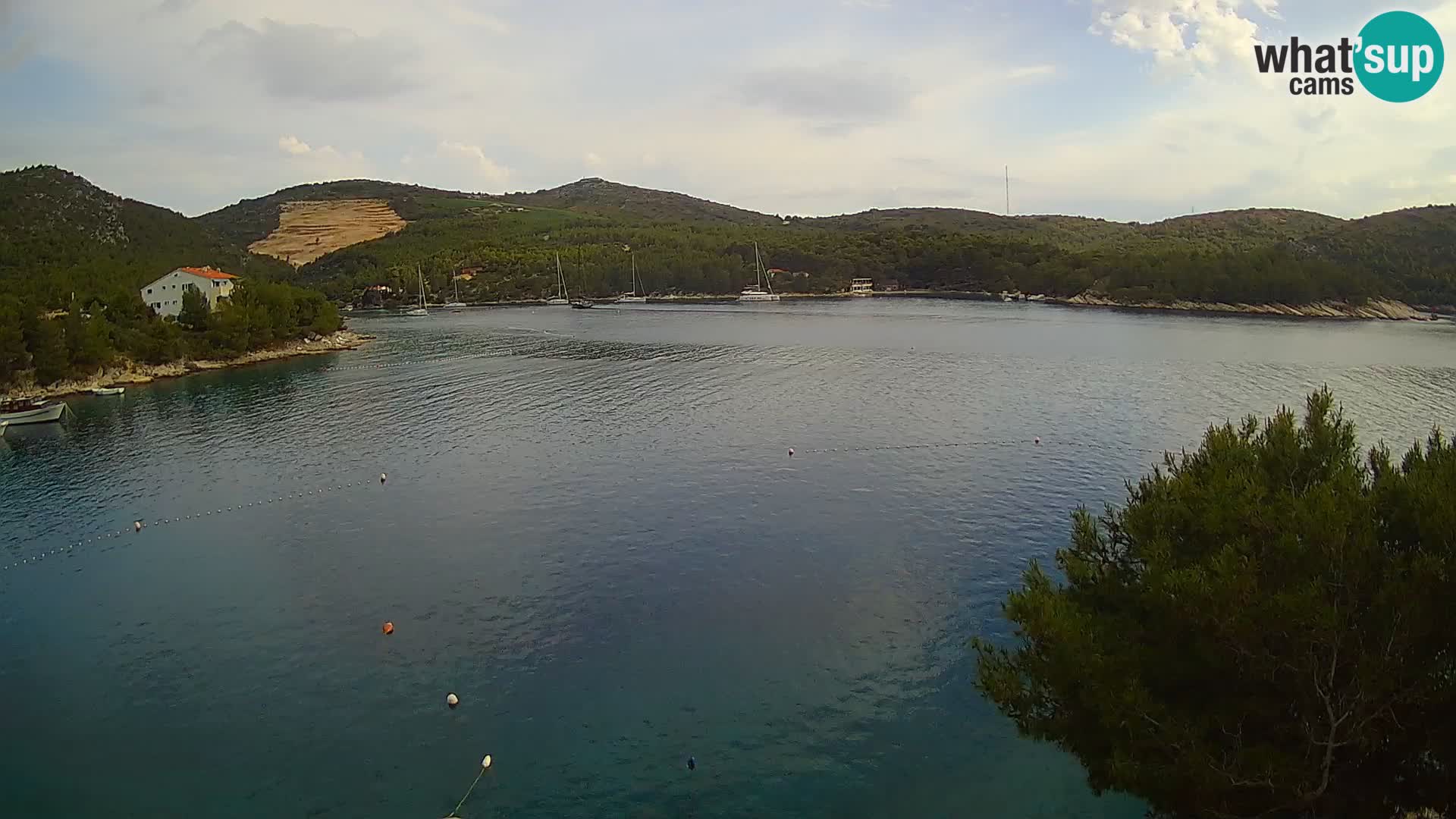 Camera Hvar Vira playa | Isla de Hvar | Dalmacia