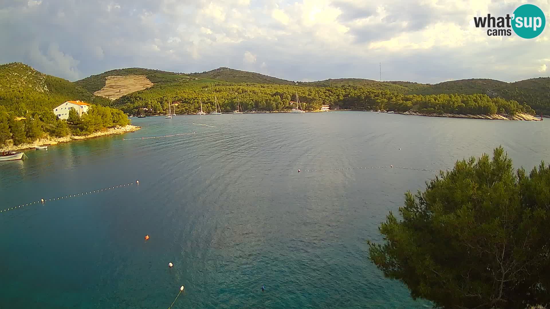 Camera Hvar Vira playa | Isla de Hvar | Dalmacia