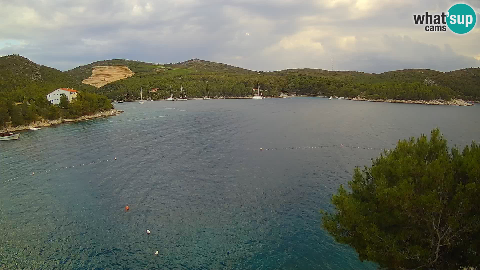 Camera Hvar Vira playa | Isla de Hvar | Dalmacia