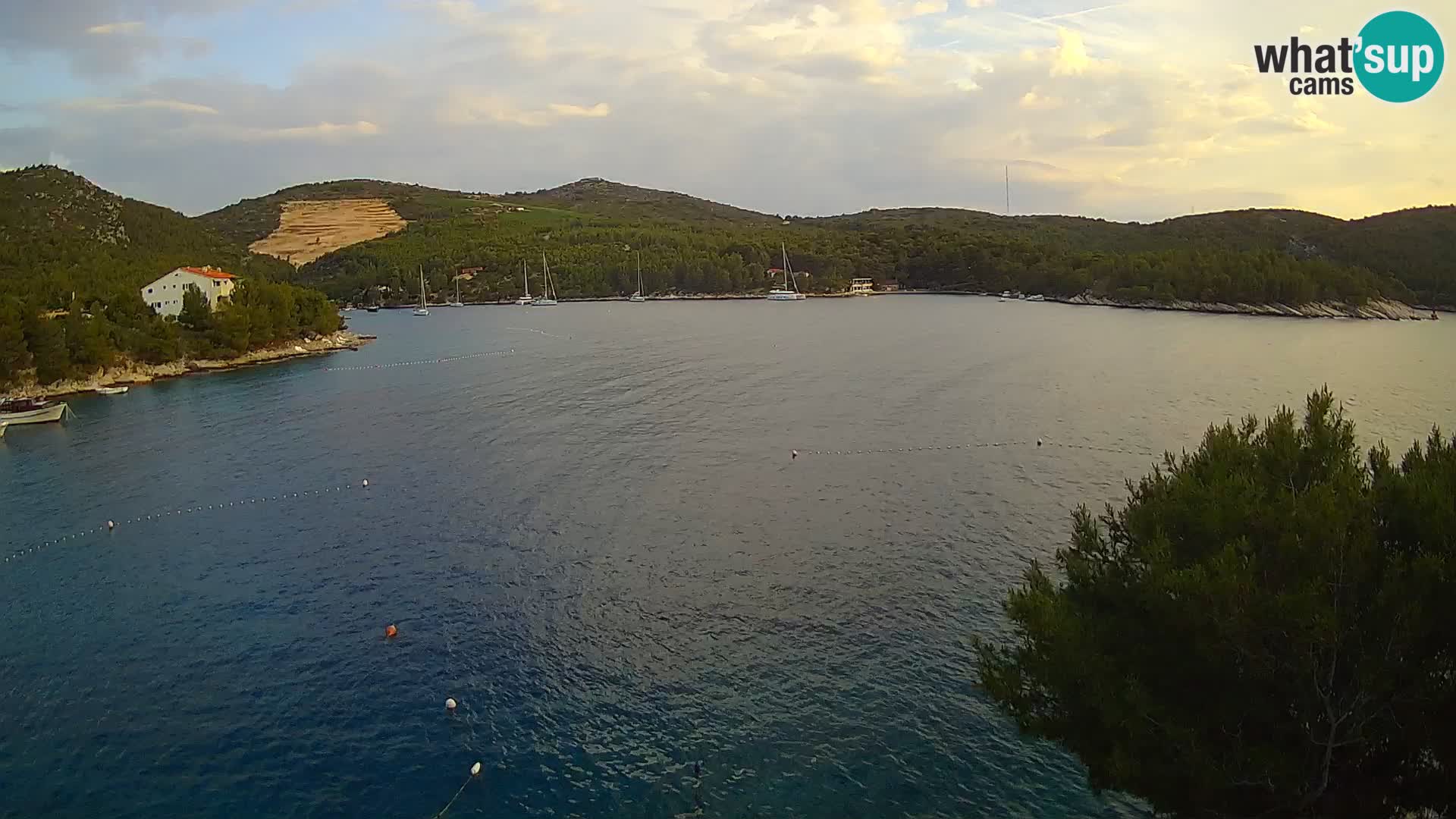 Camera Hvar Vira playa | Isla de Hvar | Dalmacia