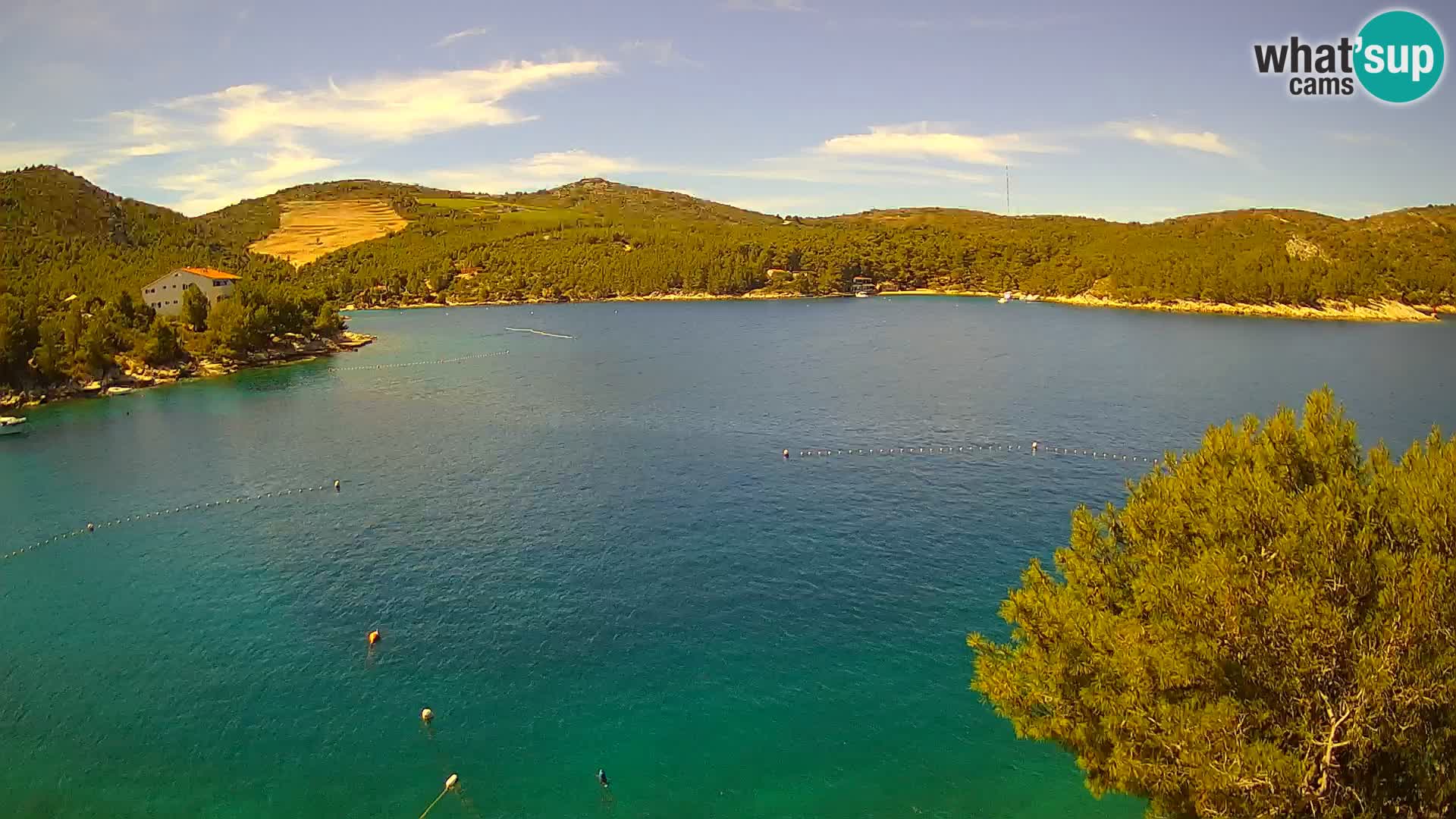 Live cam Hvar Vira plage | Île de Hvar | Dalmatie