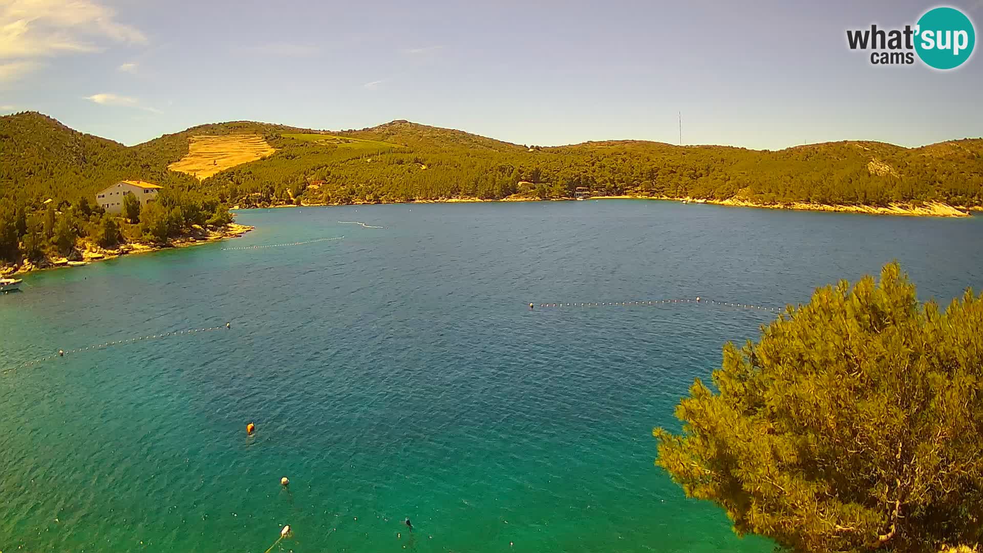 Hvar webcam Vira Strand | Hvar Insel | Dalmatien