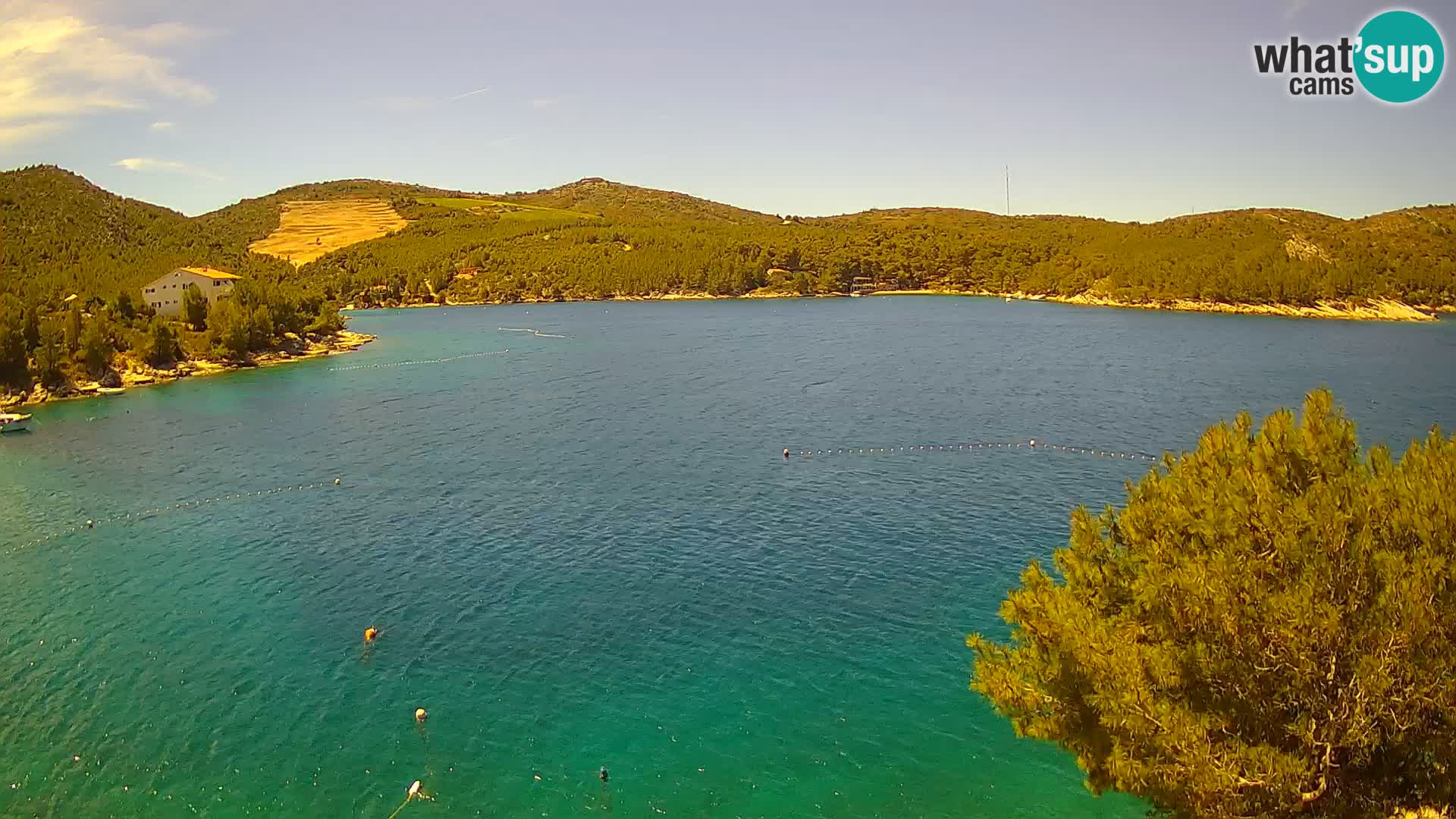 Camera Hvar Vira playa | Isla de Hvar | Dalmacia