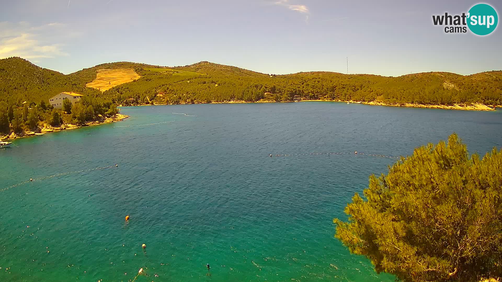 Camera Hvar Vira playa | Isla de Hvar | Dalmacia