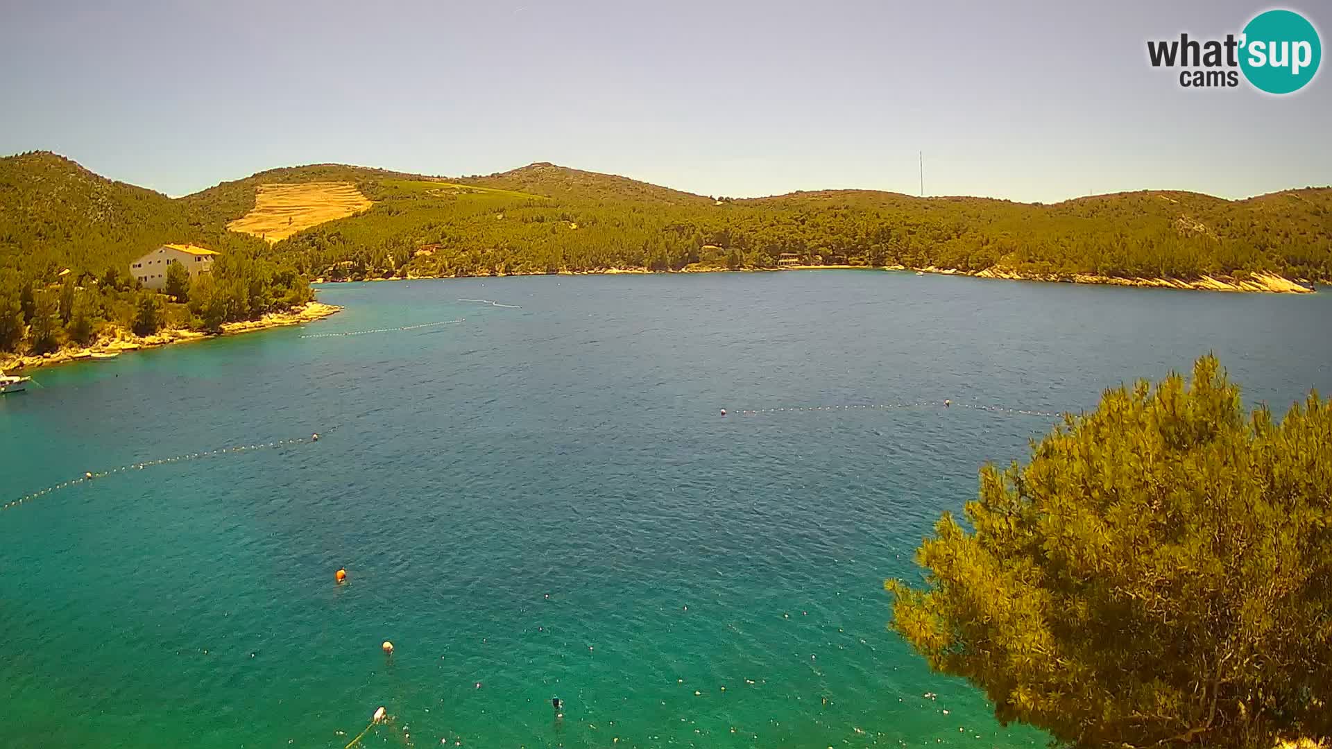 Camera Hvar Vira playa | Isla de Hvar | Dalmacia