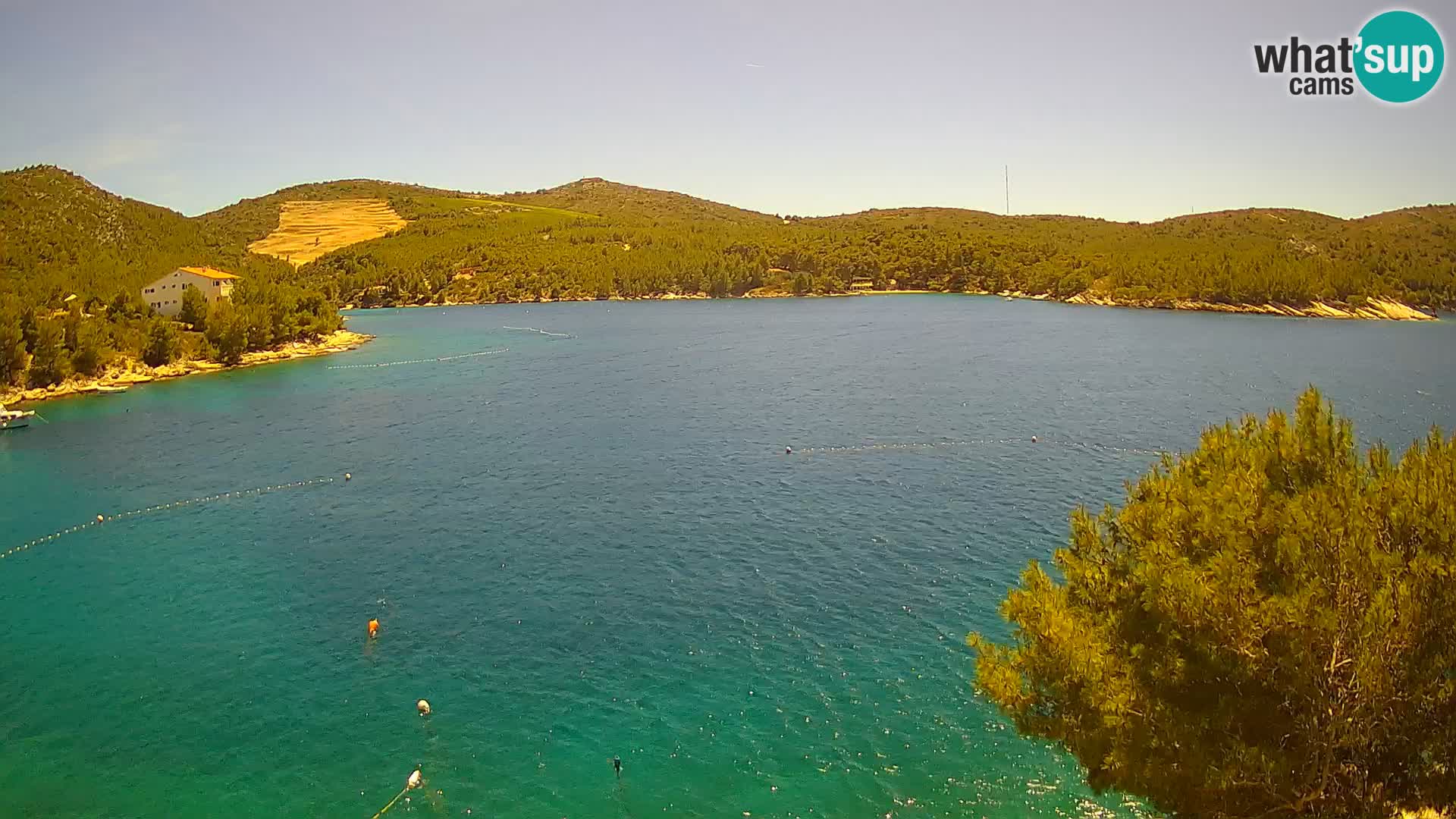 Hvar webcam Vira Strand | Hvar Insel | Dalmatien