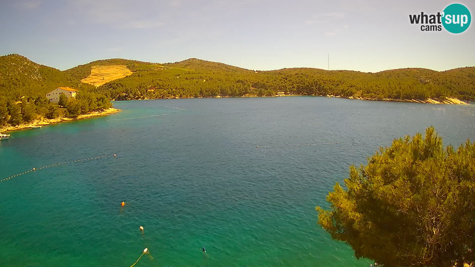 Camera Hvar Vira playa | Isla de Hvar | Dalmacia