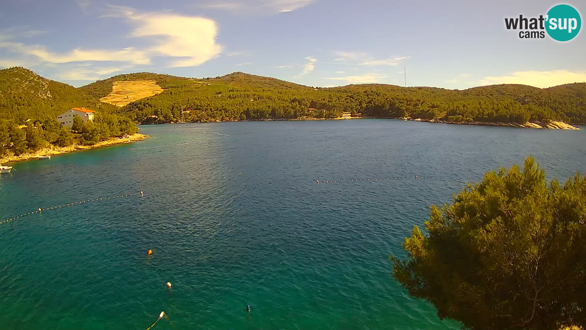 Camera Hvar Vira playa | Isla de Hvar | Dalmacia