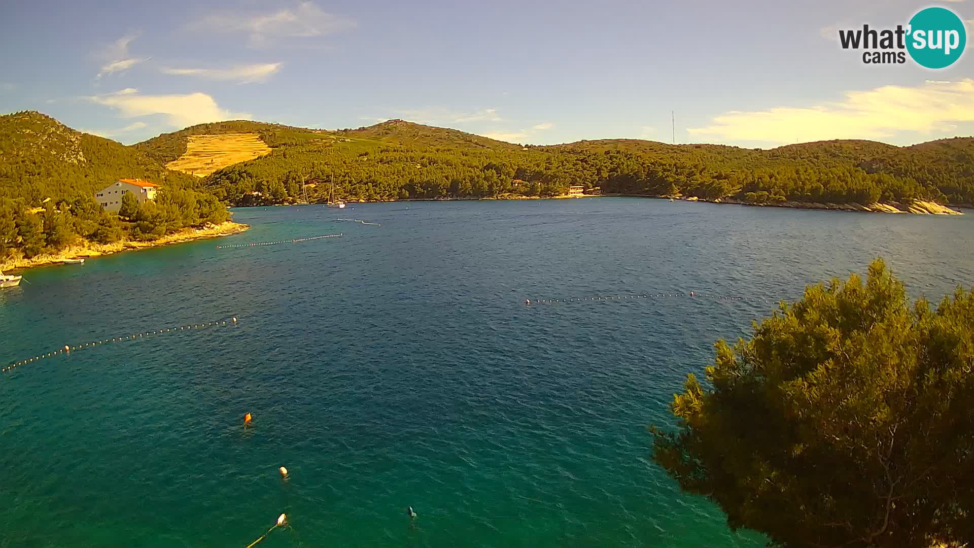 Camera Hvar Vira playa | Isla de Hvar | Dalmacia