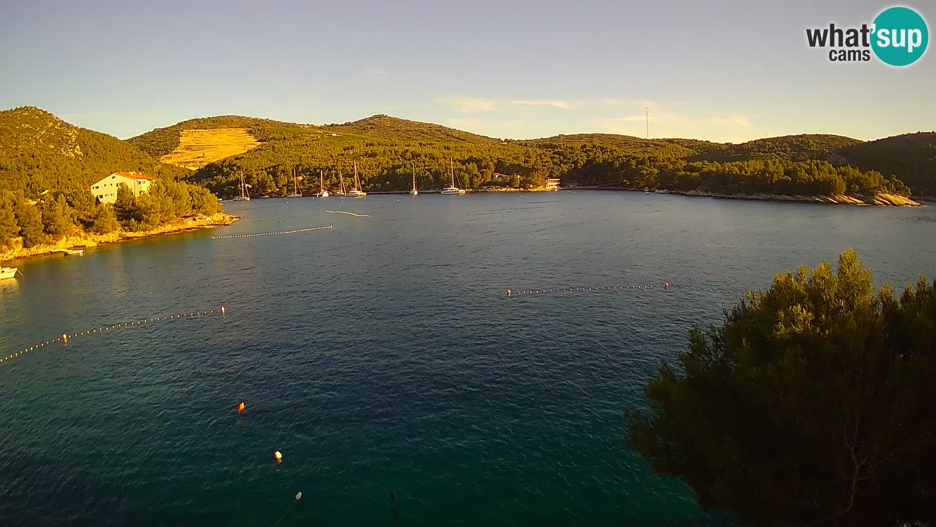 Hvar webcam Vira Strand | Hvar Insel | Dalmatien