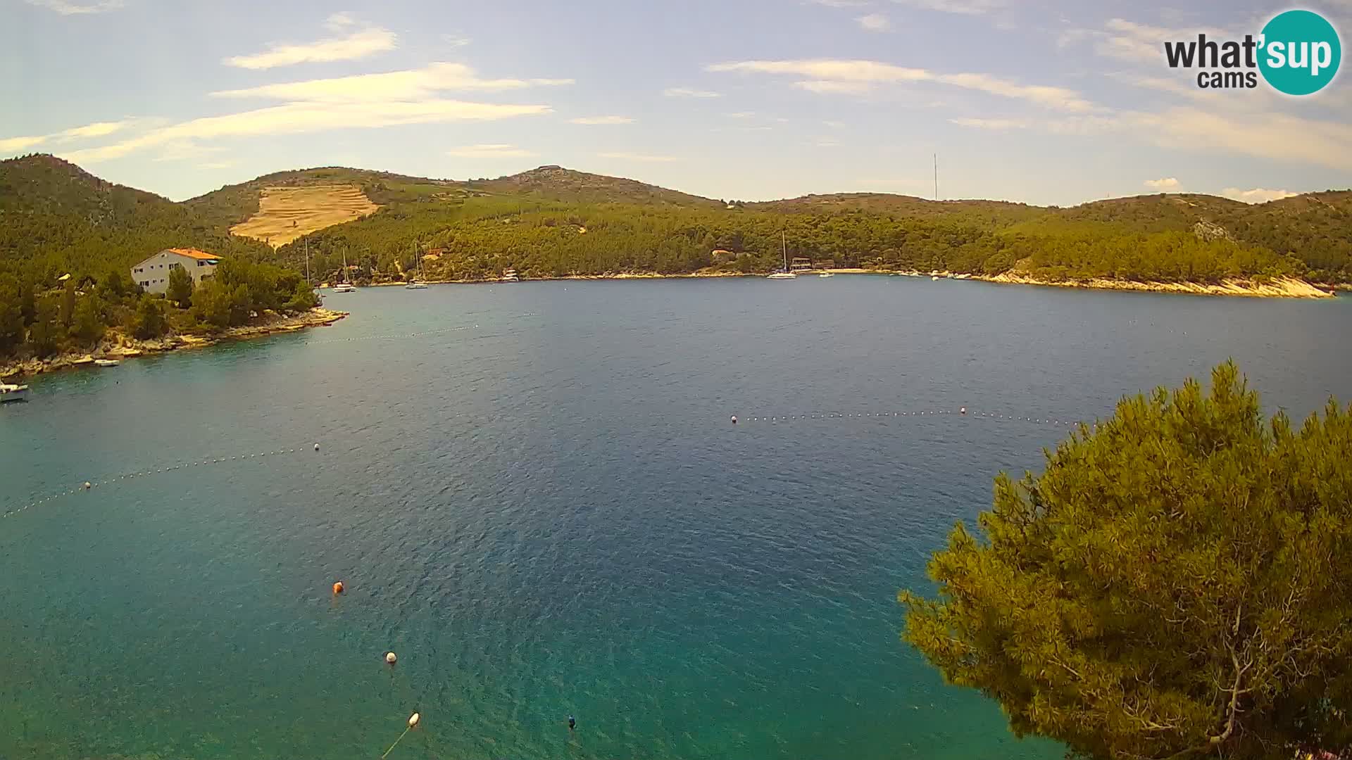 Camera Hvar Vira playa | Isla de Hvar | Dalmacia