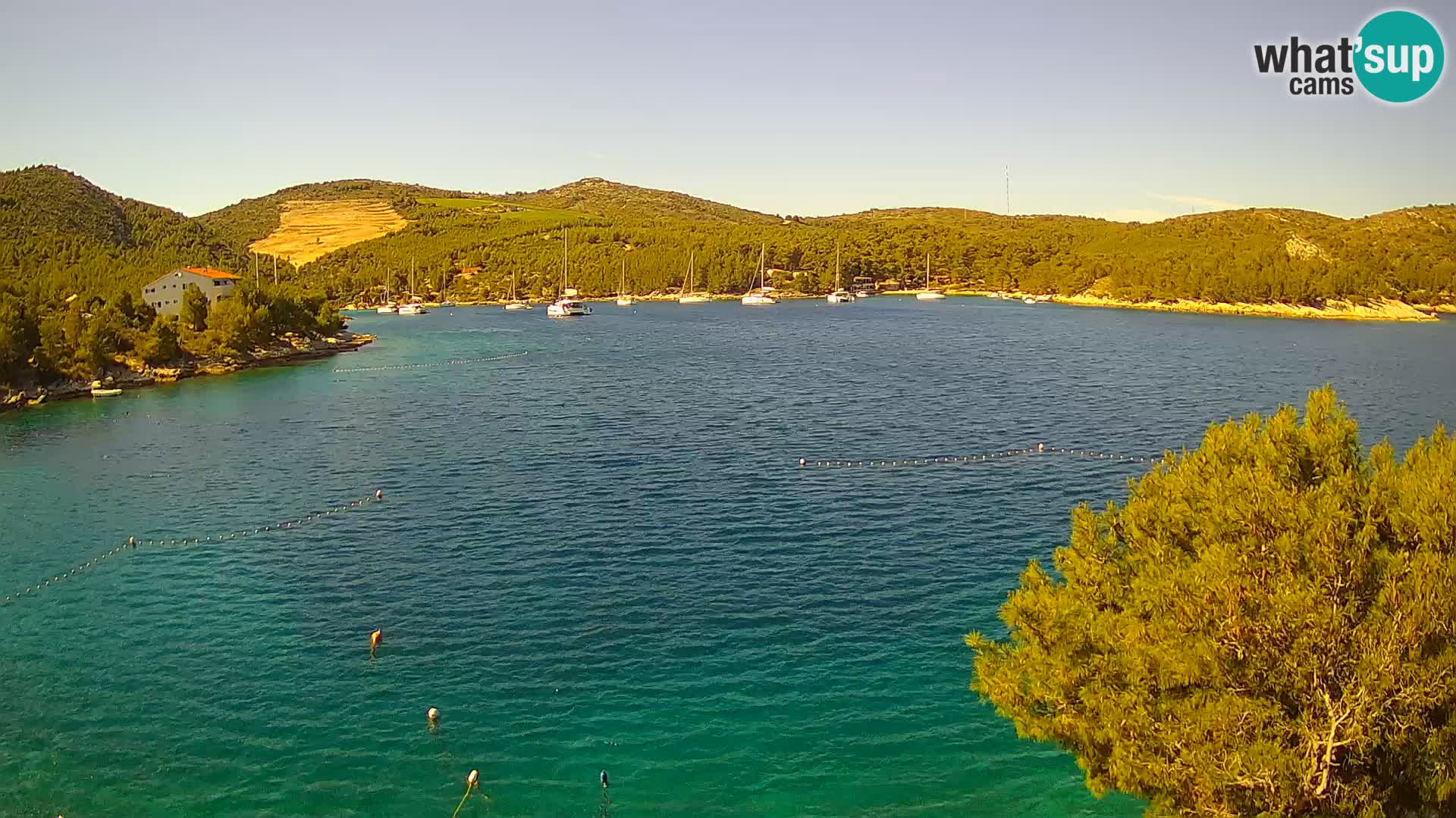 Webcam Hvar Vira beach | Hvar island | Dalmatia