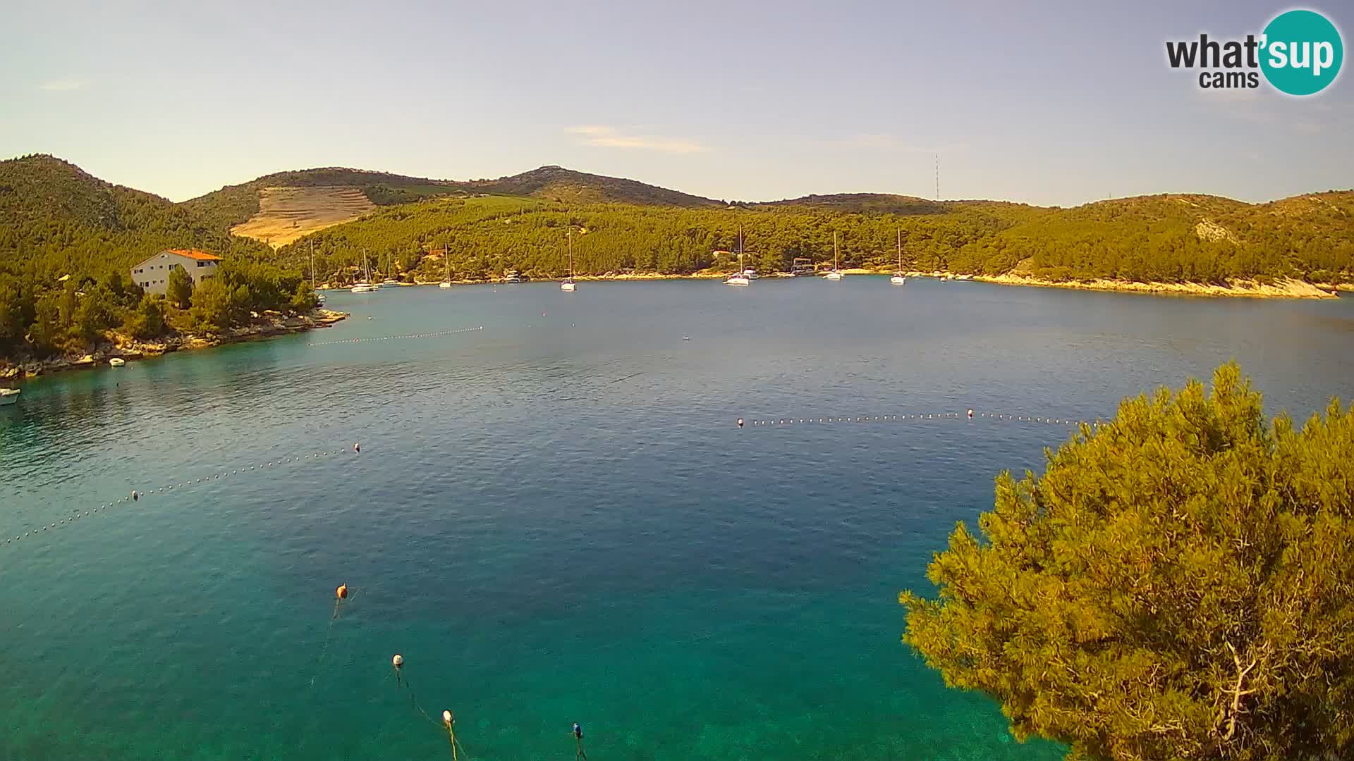 Live cam Hvar Vira plage | Île de Hvar | Dalmatie