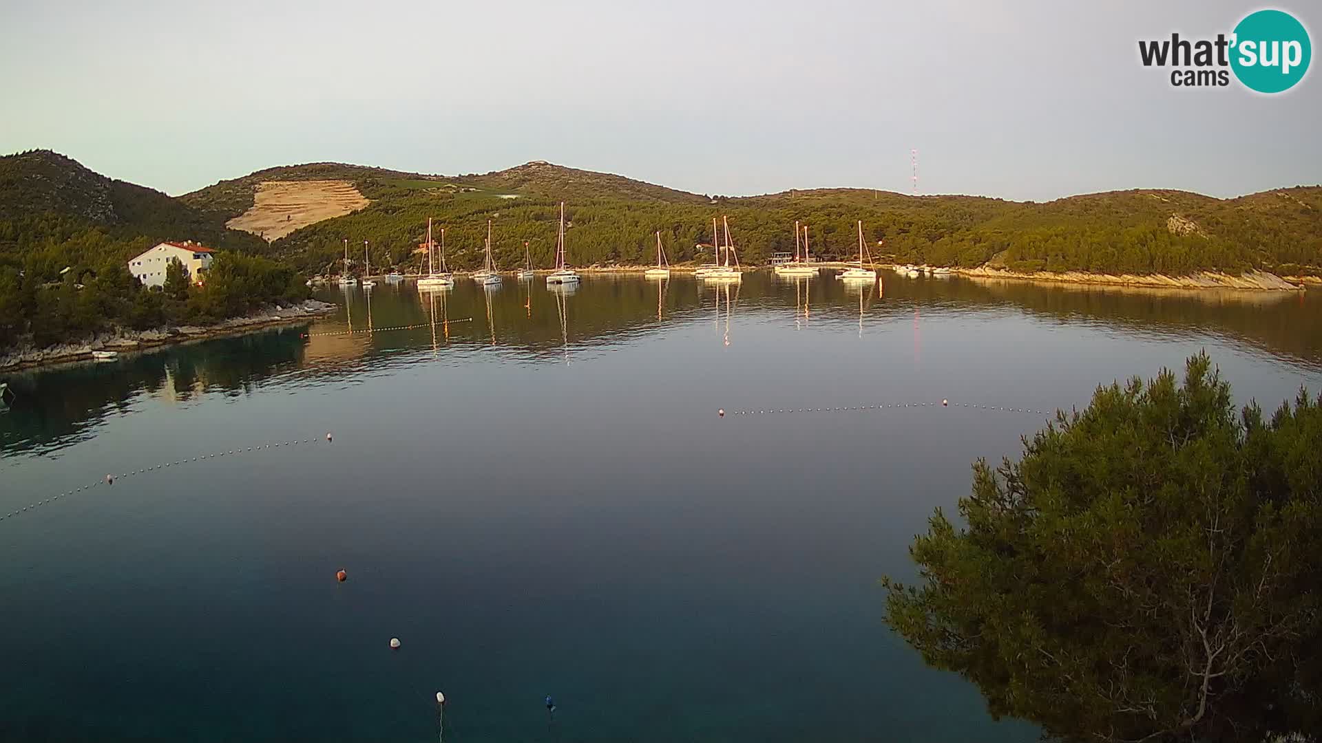 Hvar webcam Vira Strand | Hvar Insel | Dalmatien