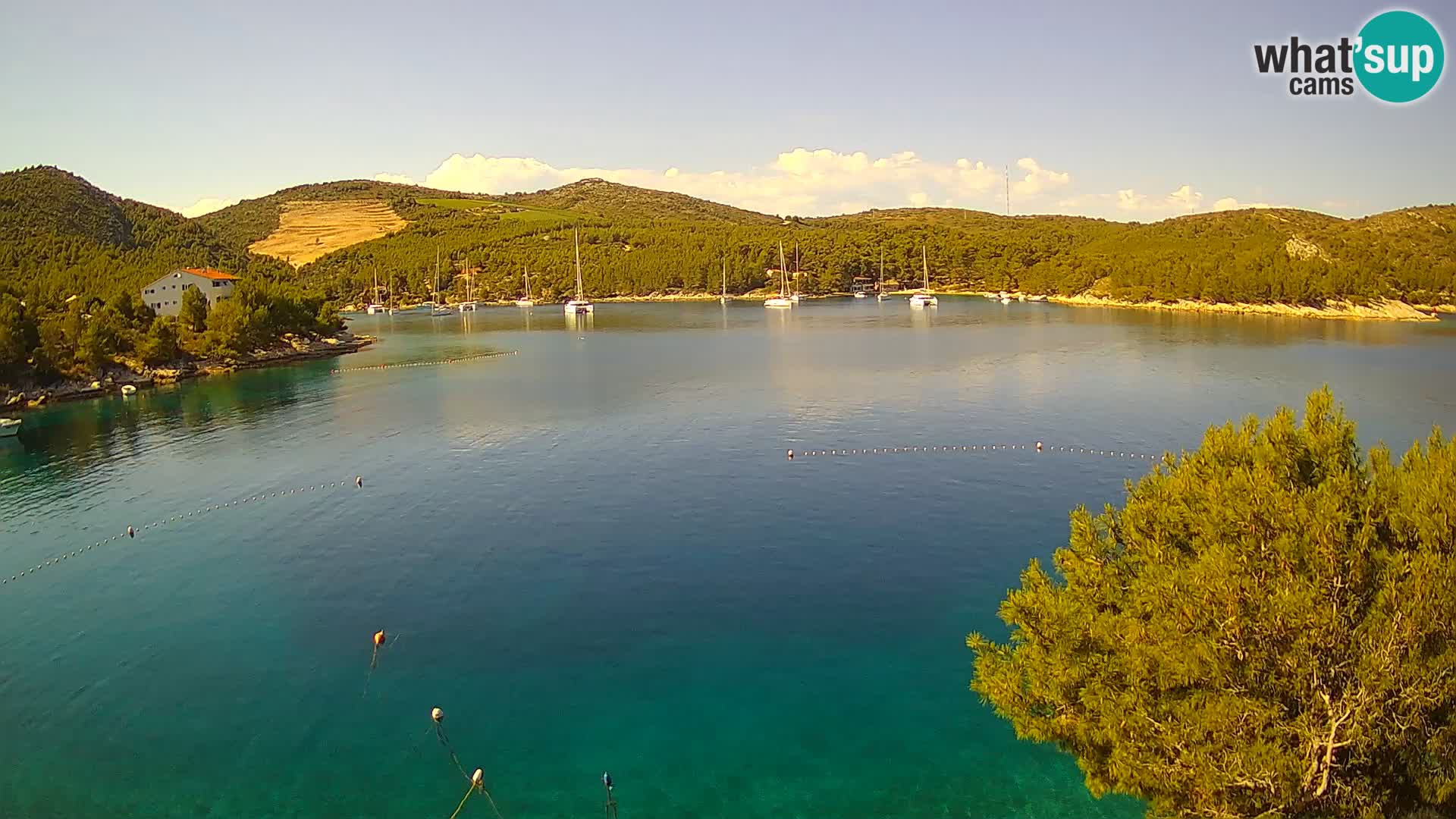 Camera Hvar Vira playa | Isla de Hvar | Dalmacia