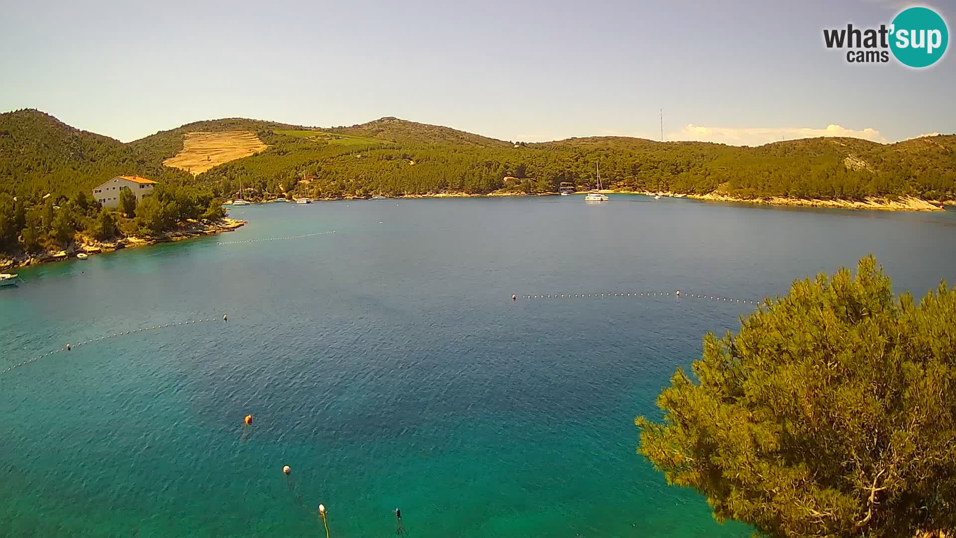 Camera Hvar Vira playa | Isla de Hvar | Dalmacia