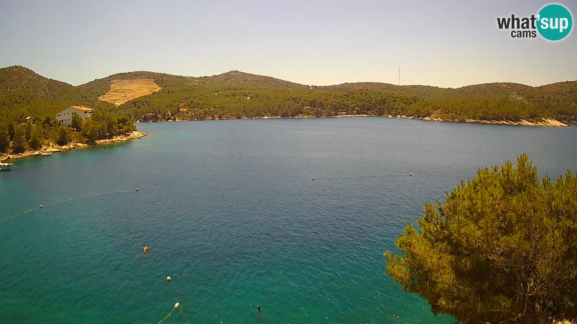 Hvar webcam Vira Strand | Hvar Insel | Dalmatien