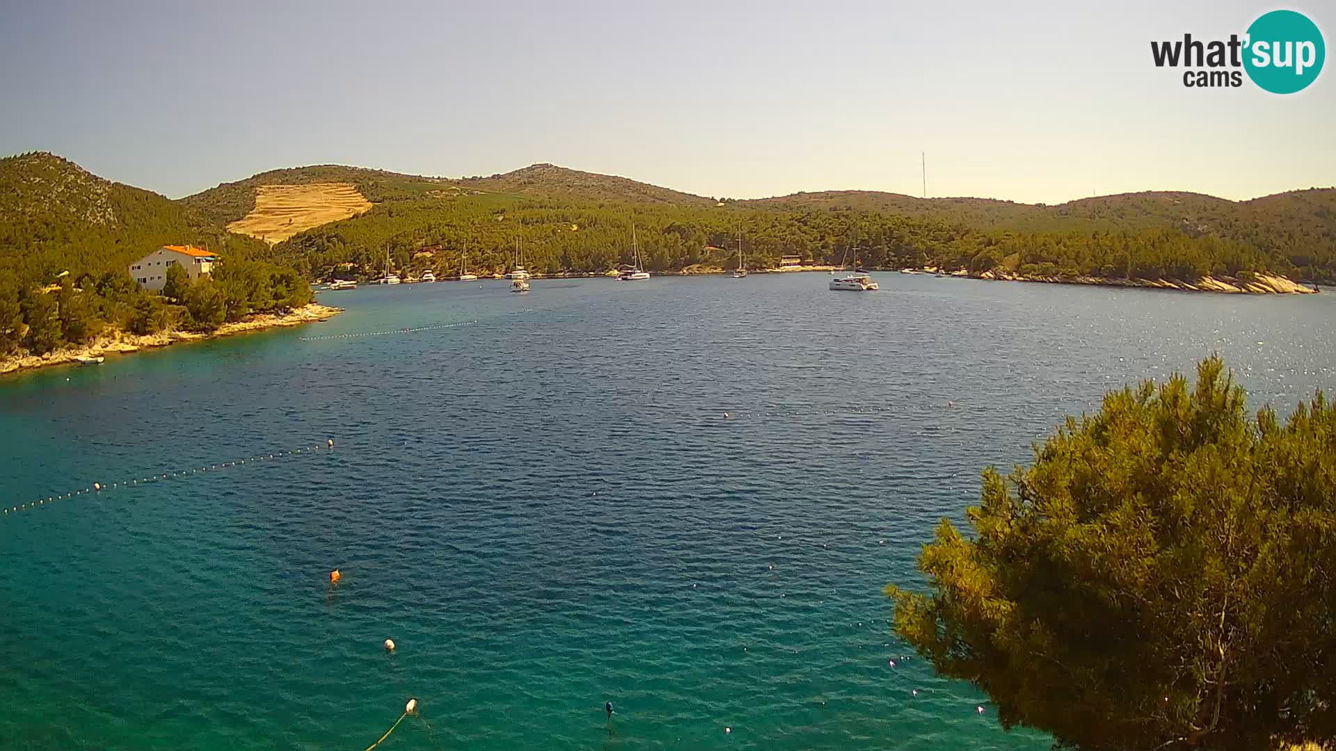 Webcam Hvar Vira beach | Hvar island | Dalmatia