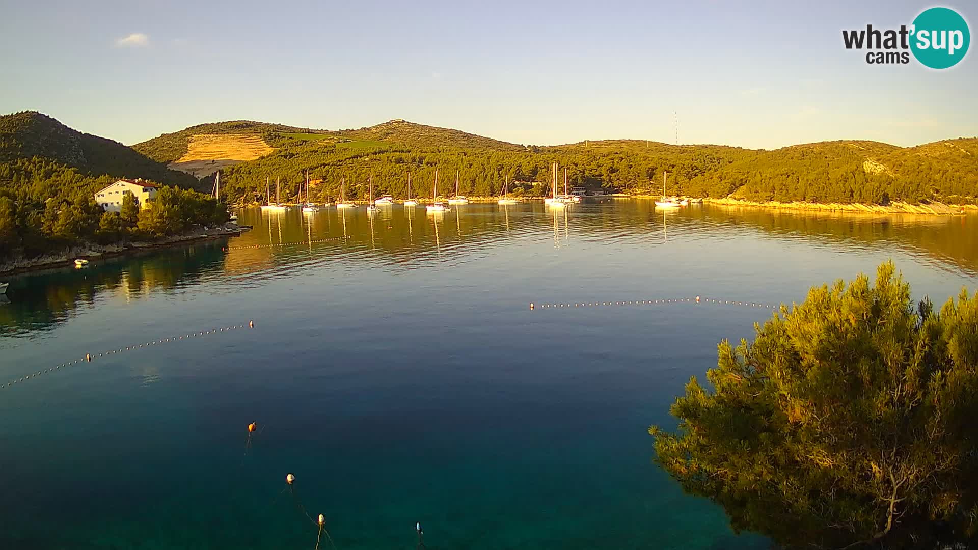 Camera Hvar Vira playa | Isla de Hvar | Dalmacia