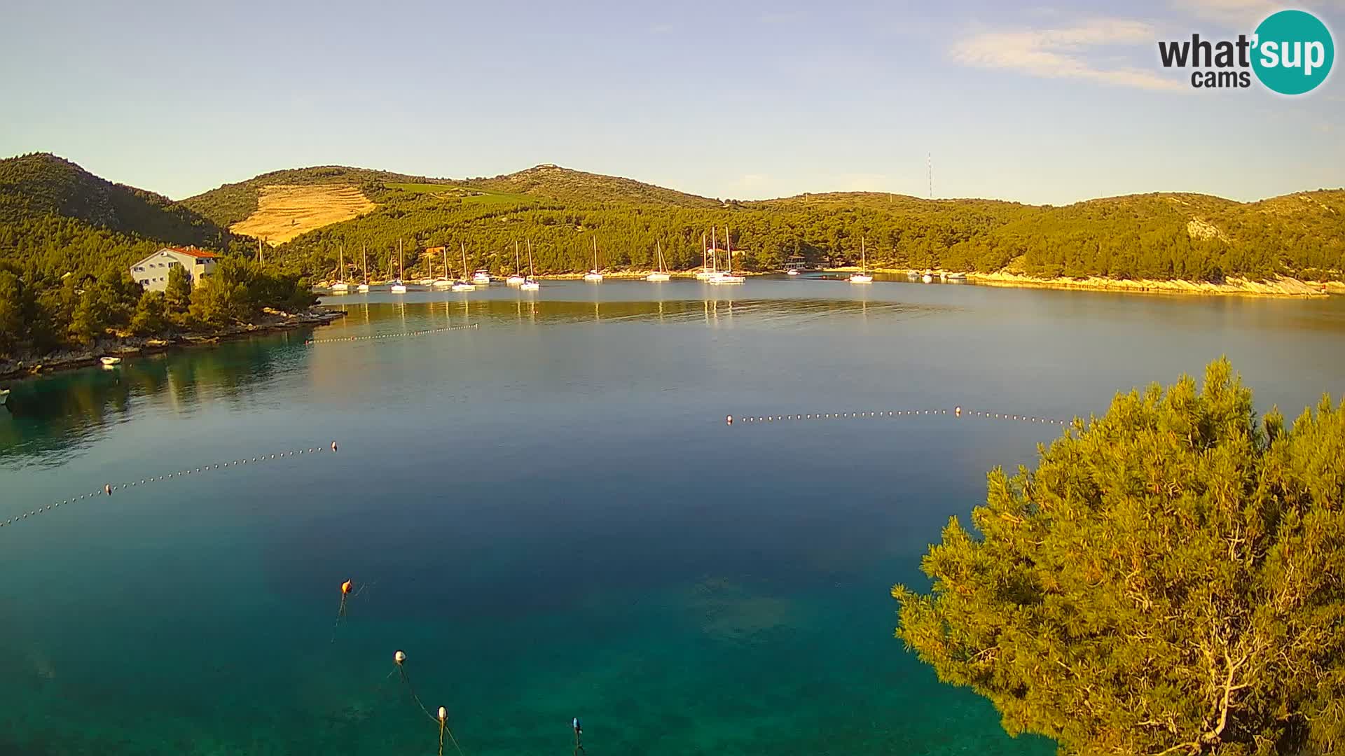 Camera Hvar Vira playa | Isla de Hvar | Dalmacia