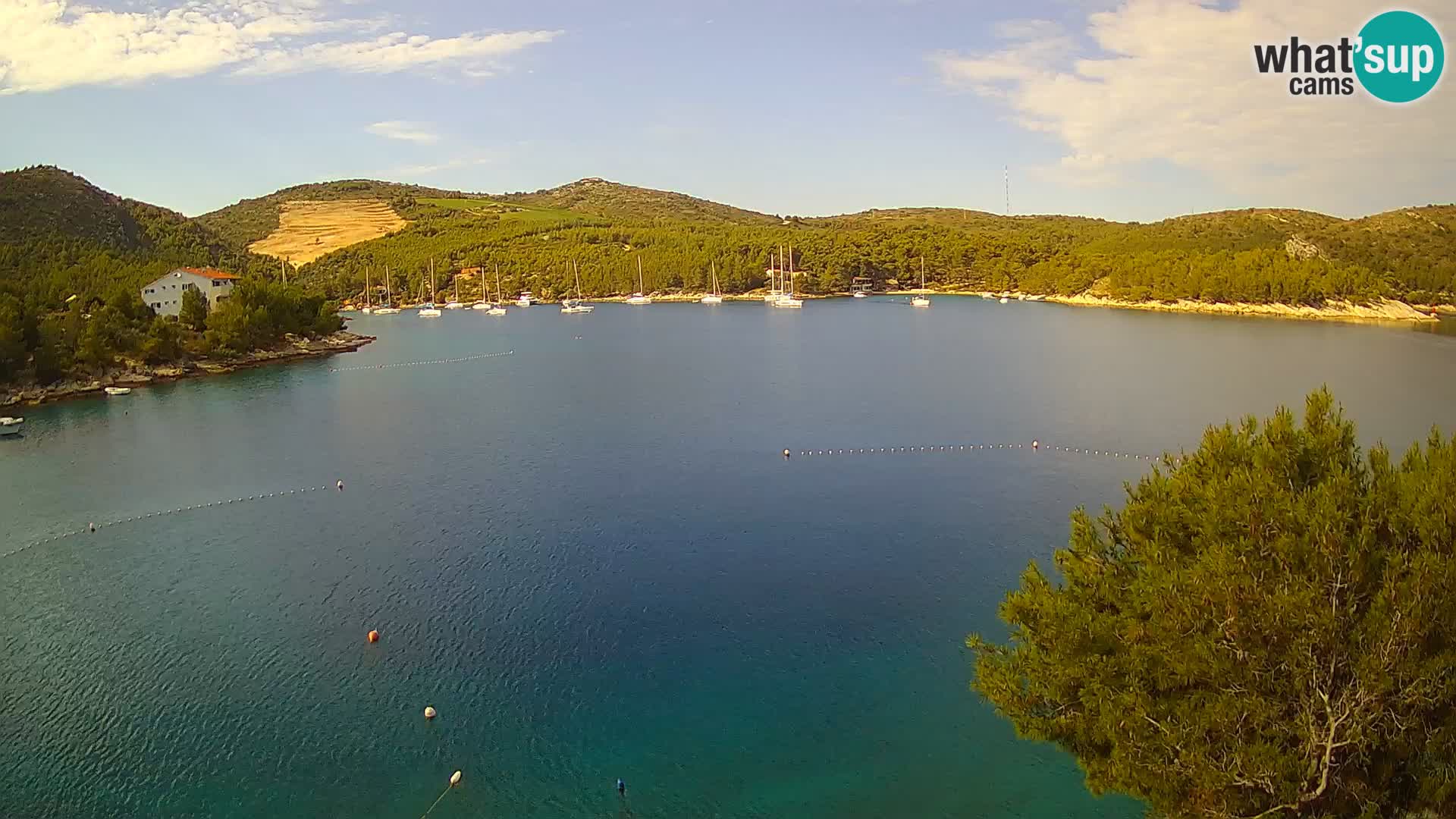 Camera Hvar Vira playa | Isla de Hvar | Dalmacia