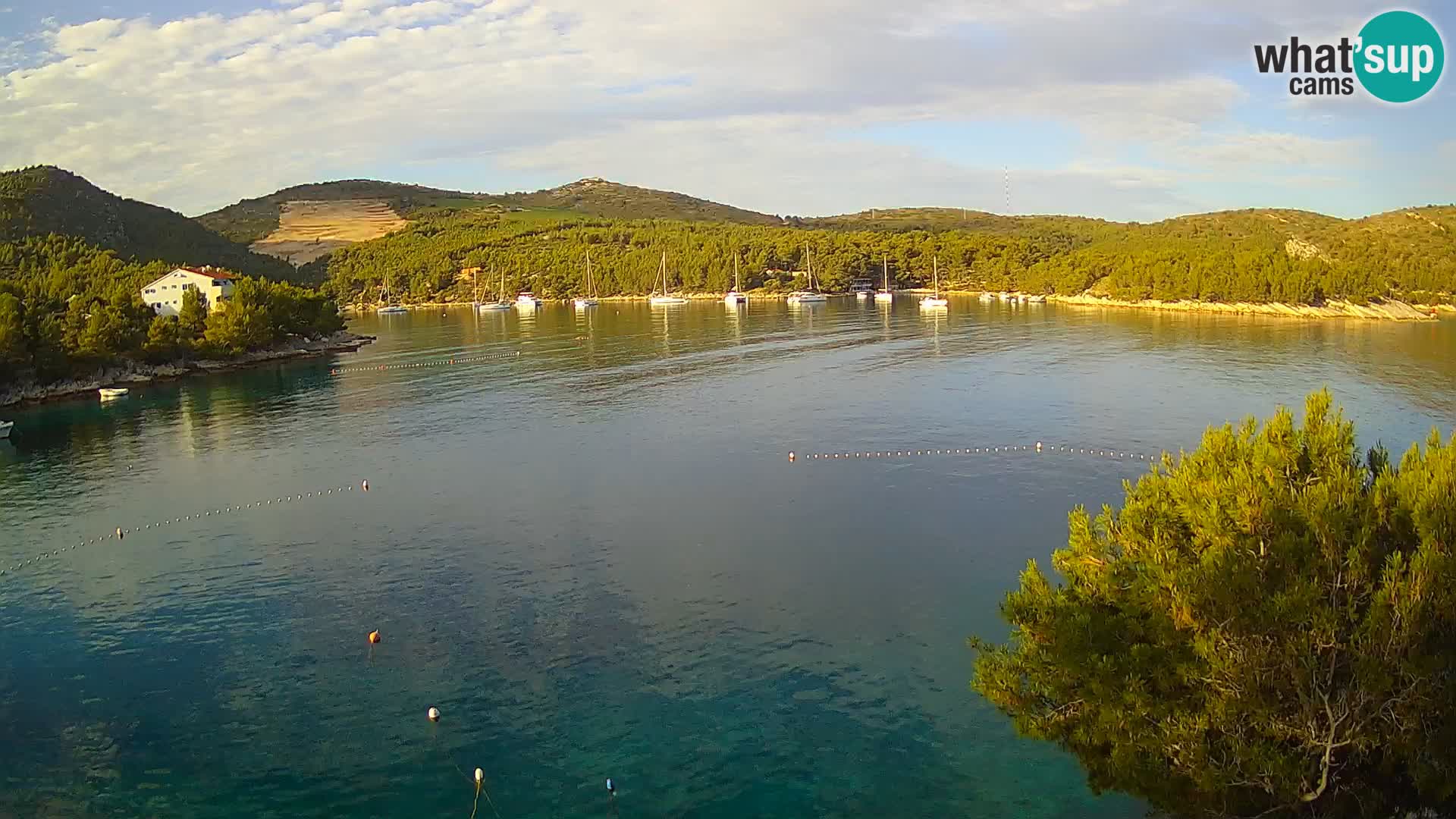 Camera Hvar Vira playa | Isla de Hvar | Dalmacia