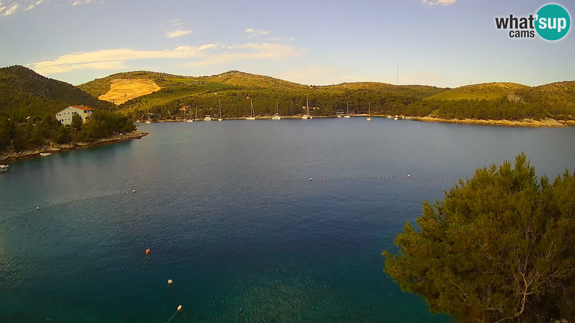Camera Hvar Vira playa | Isla de Hvar | Dalmacia