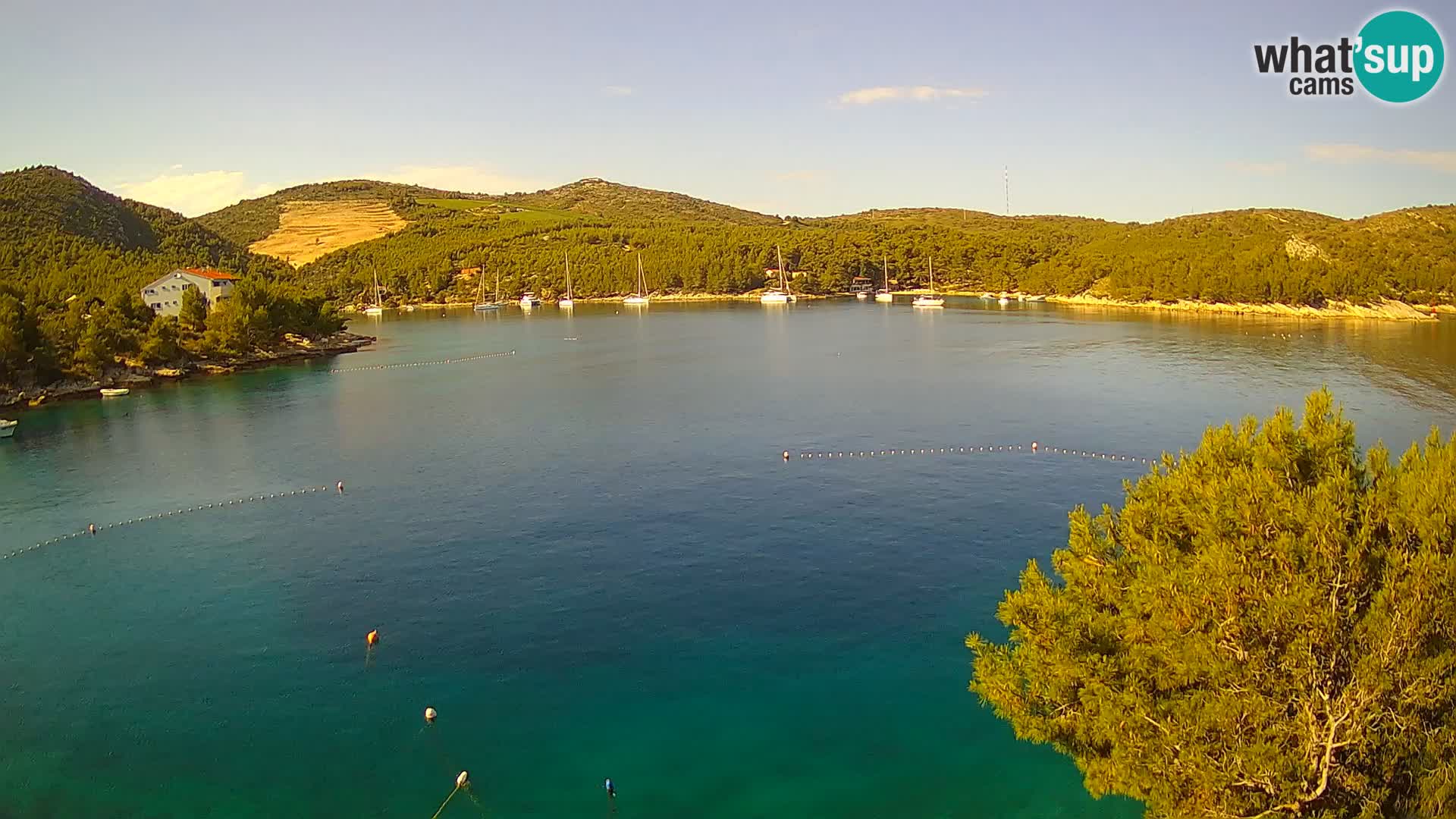Camera Hvar Vira playa | Isla de Hvar | Dalmacia