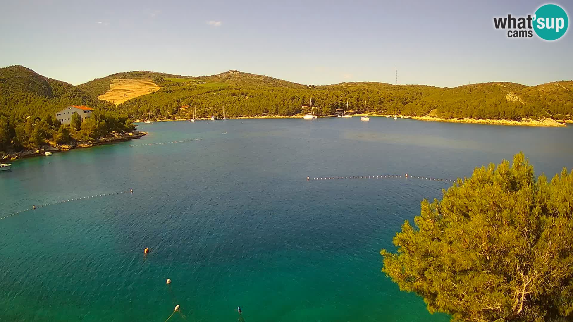Camera Hvar Vira playa | Isla de Hvar | Dalmacia