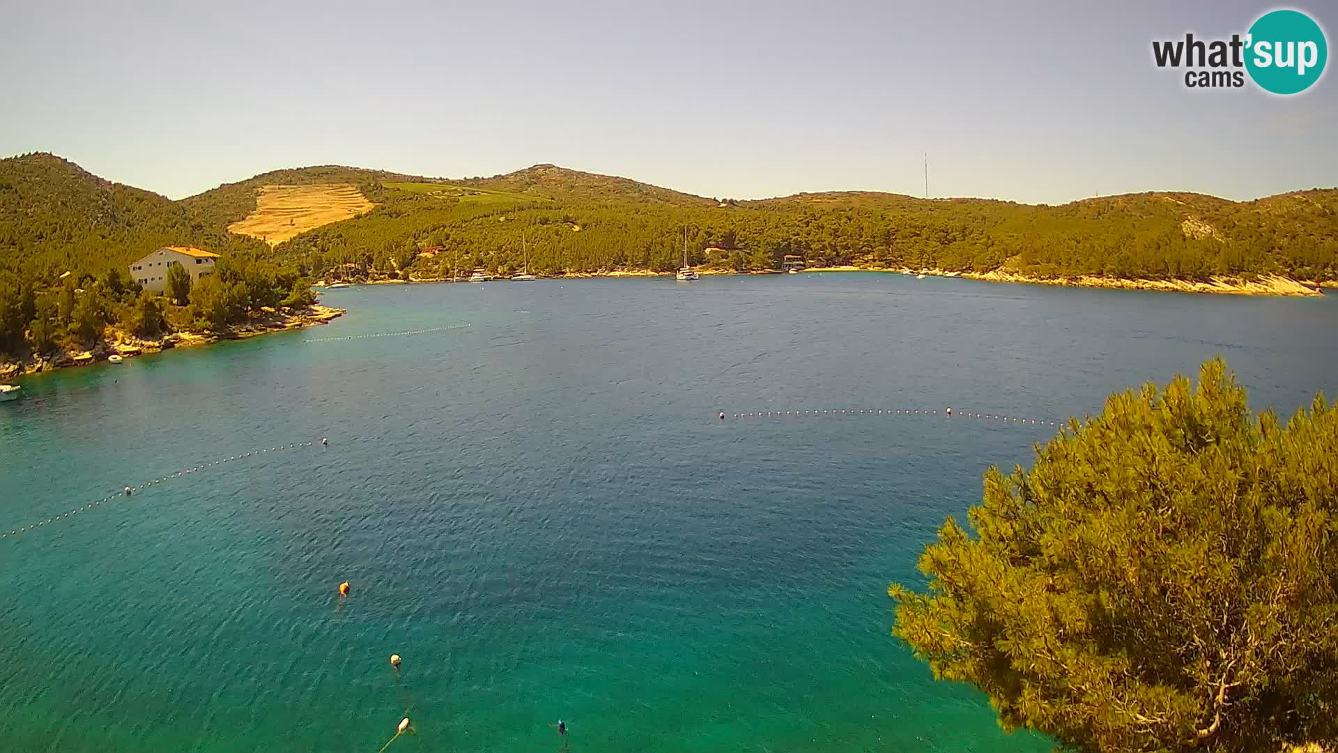 Hvar webcam Vira Strand | Hvar Insel | Dalmatien