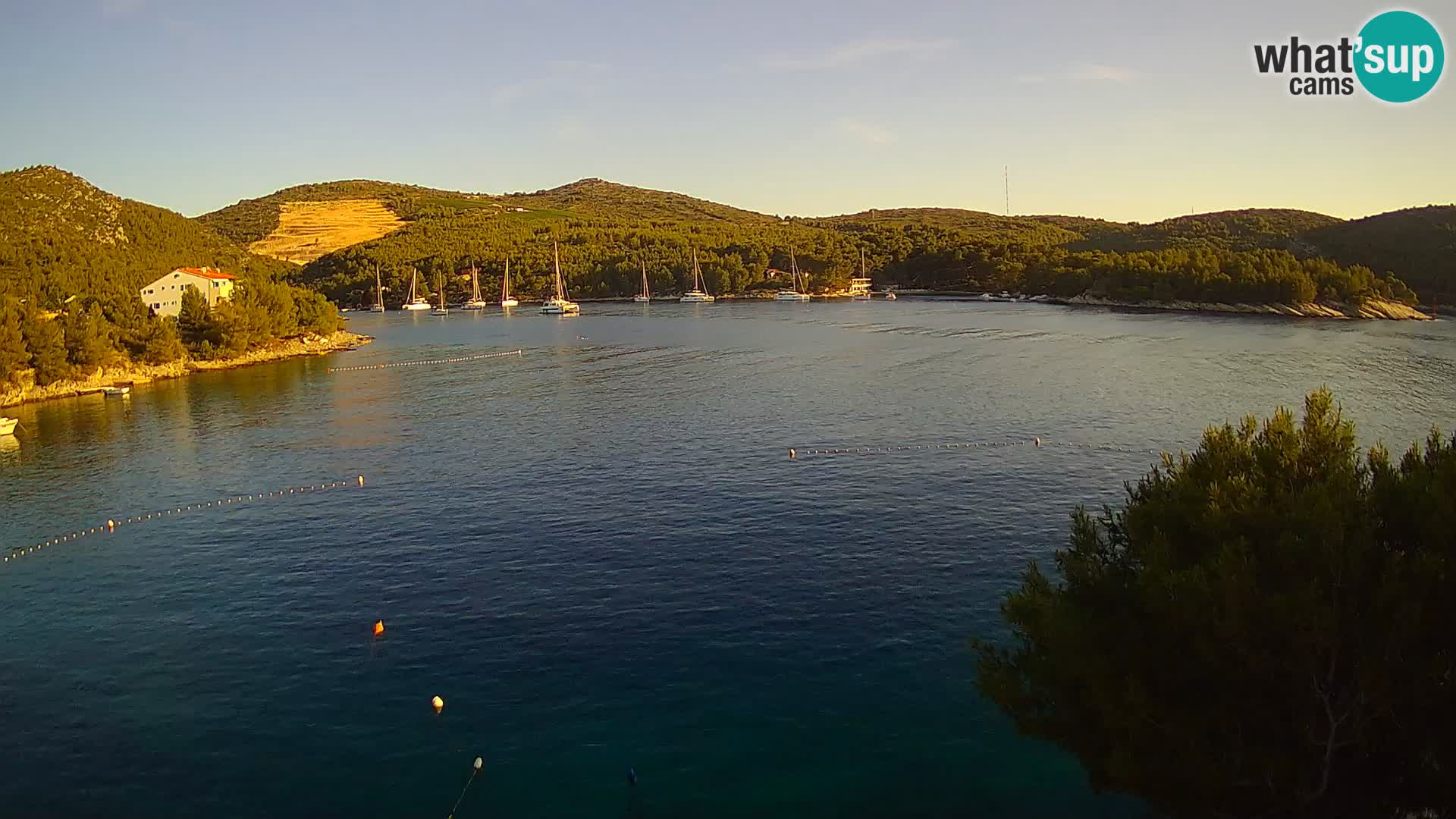 Hvar webcam Vira Strand | Hvar Insel | Dalmatien