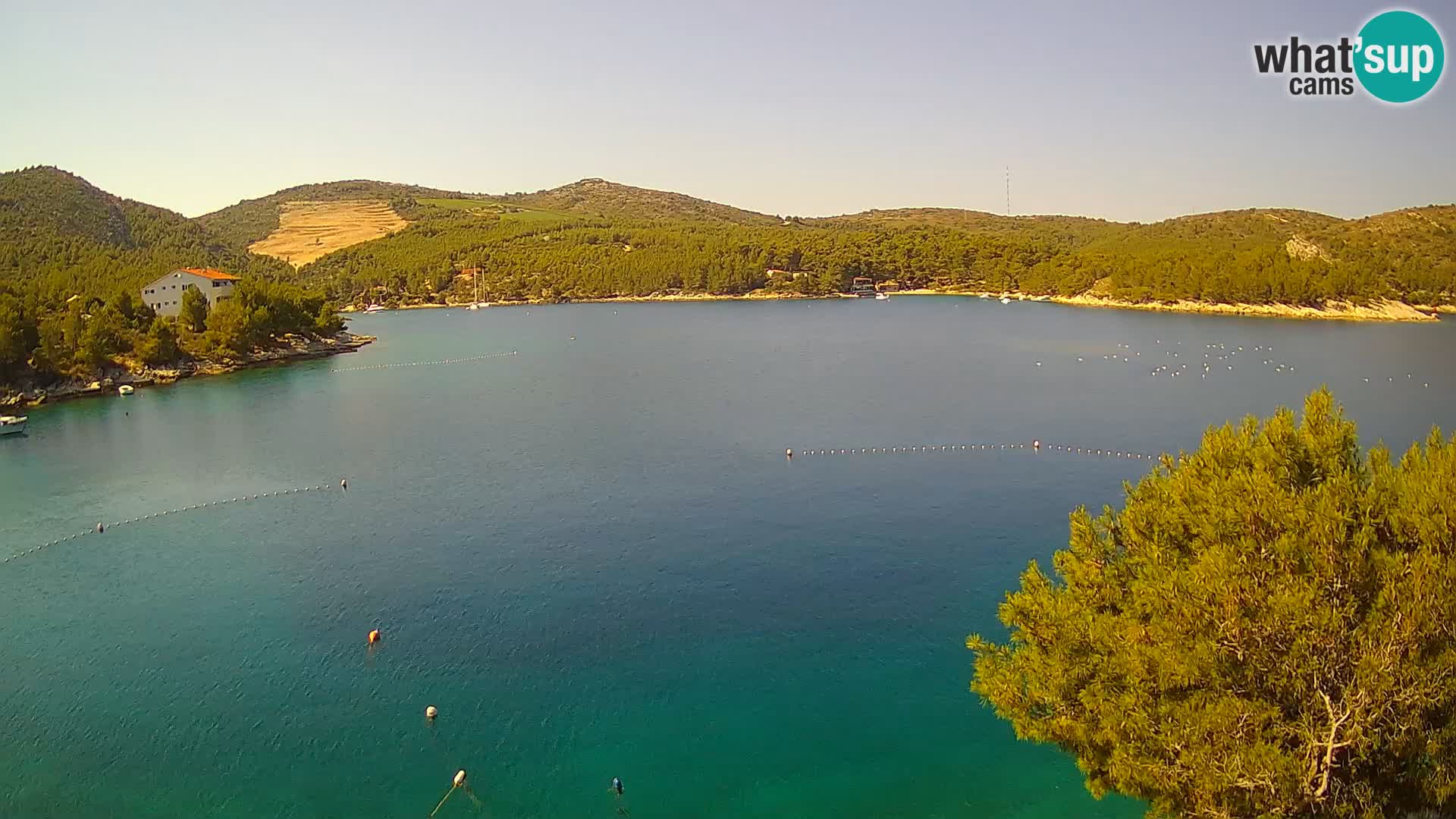 Webcam Hvar Vira beach | Hvar island | Dalmatia