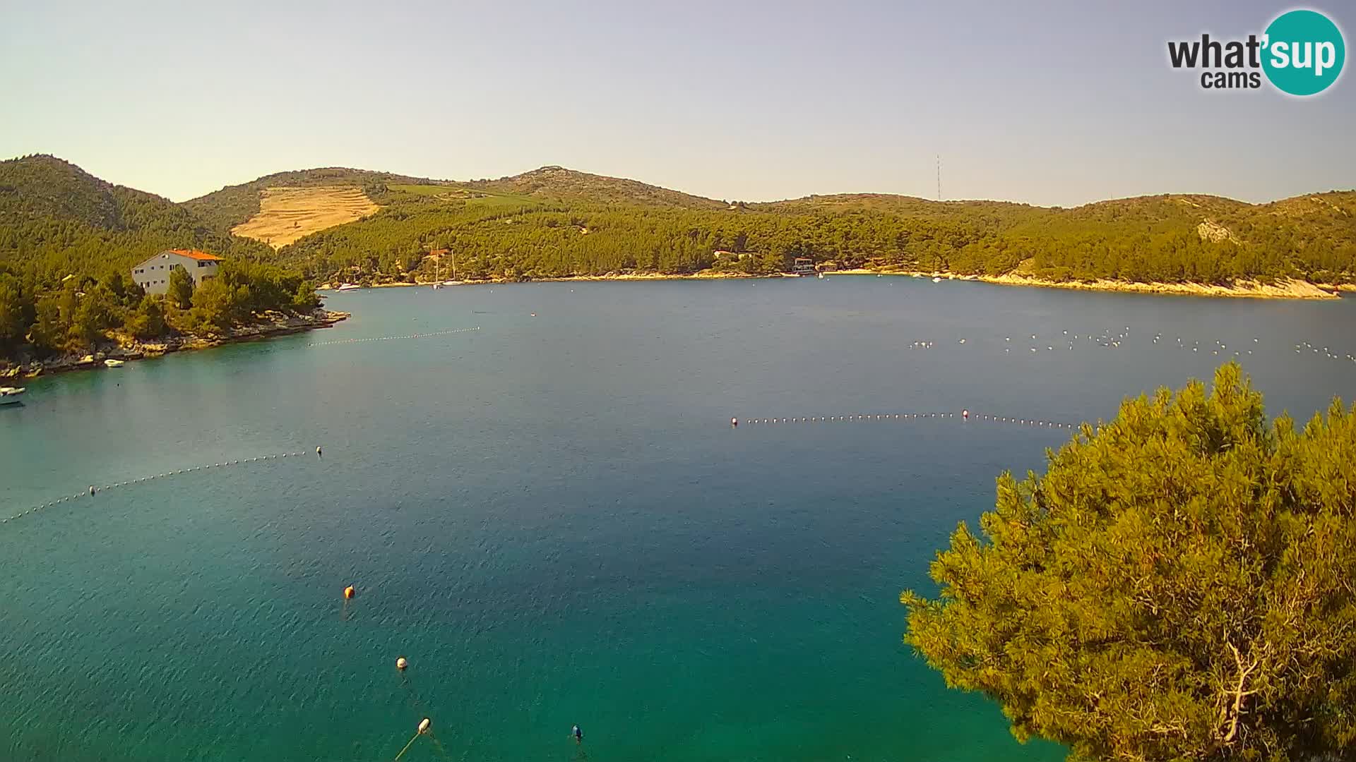 Camera Hvar Vira playa | Isla de Hvar | Dalmacia