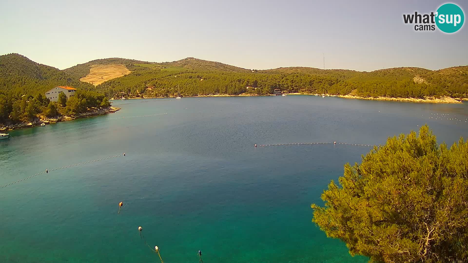 Web kamera Hvar Vira plaža | otok Hvar | Dalmacija