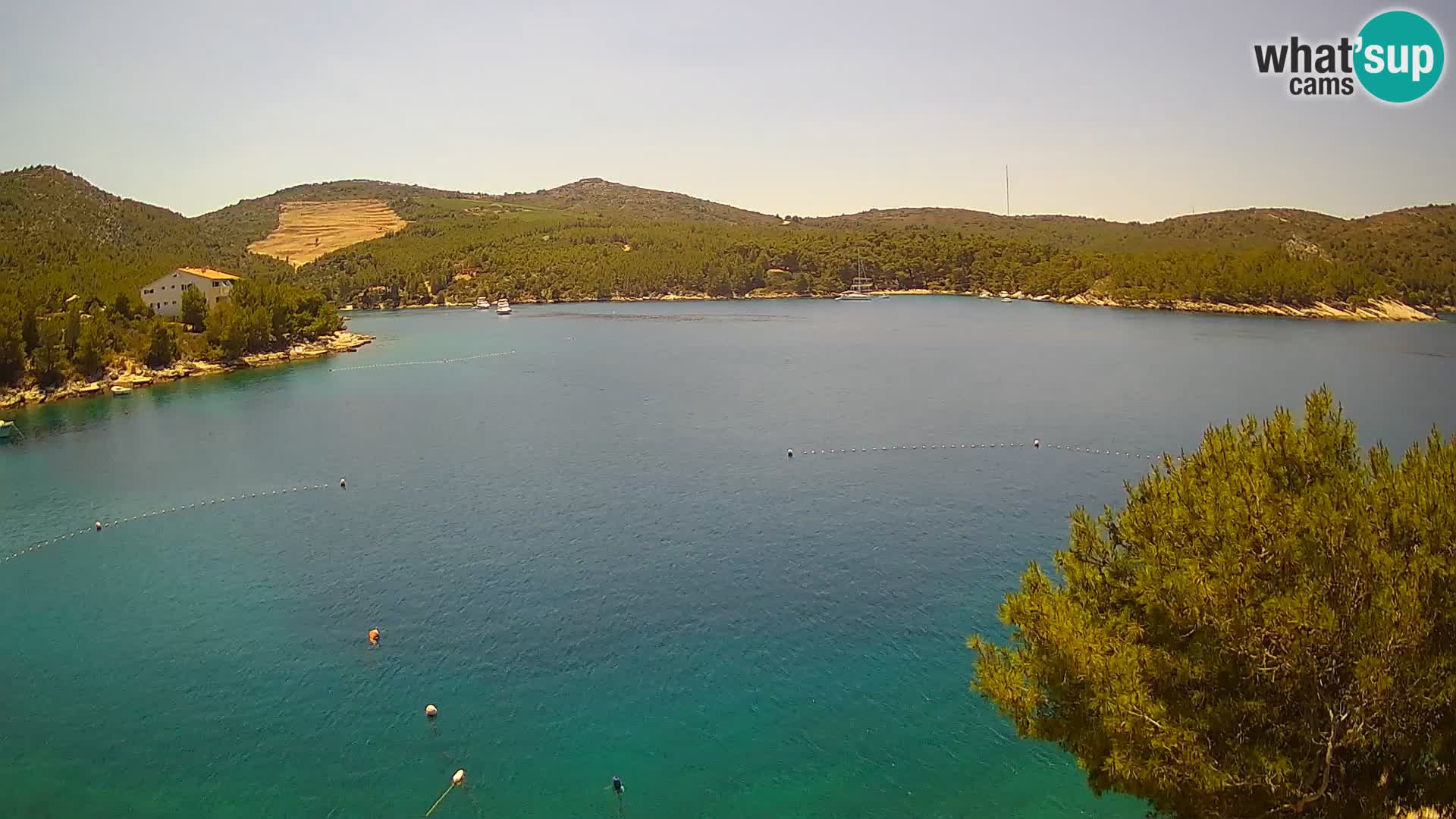 Camera Hvar Vira playa | Isla de Hvar | Dalmacia