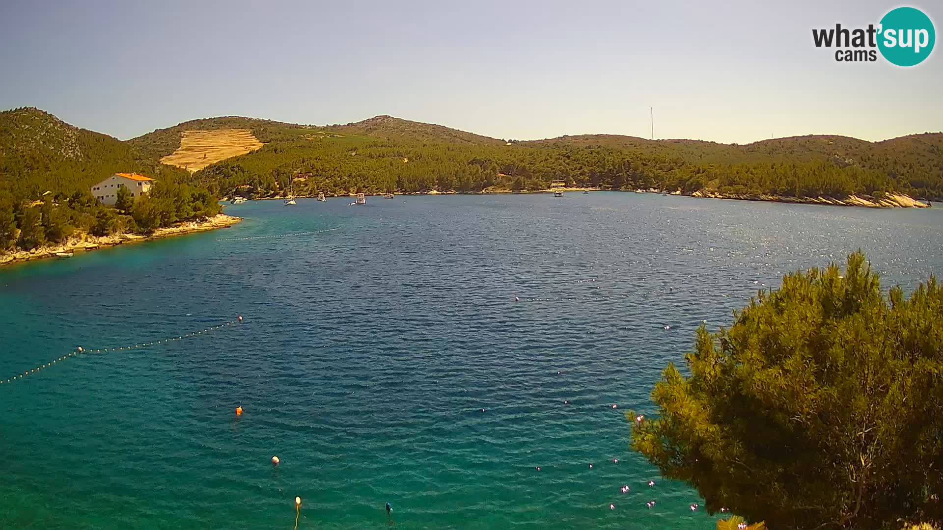 Hvar webcam Vira Strand | Hvar Insel | Dalmatien