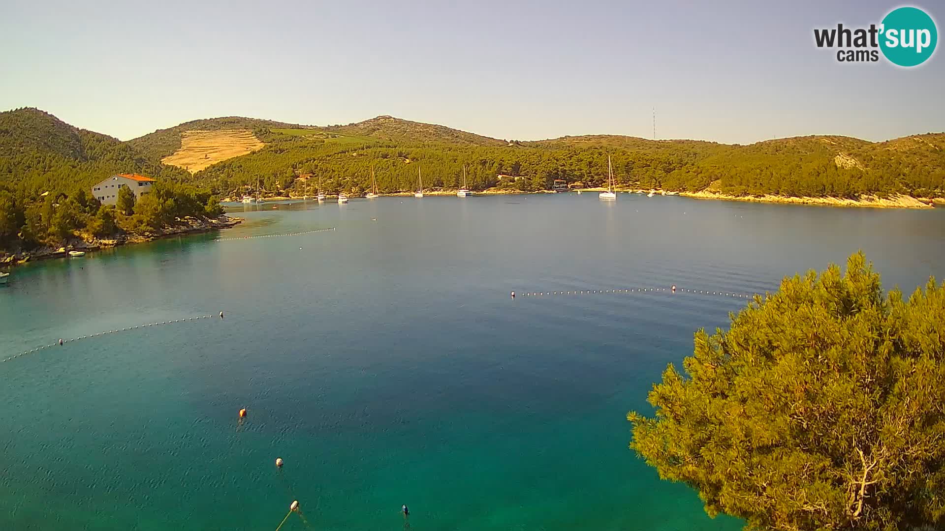 Live cam Hvar Vira plage | Île de Hvar | Dalmatie