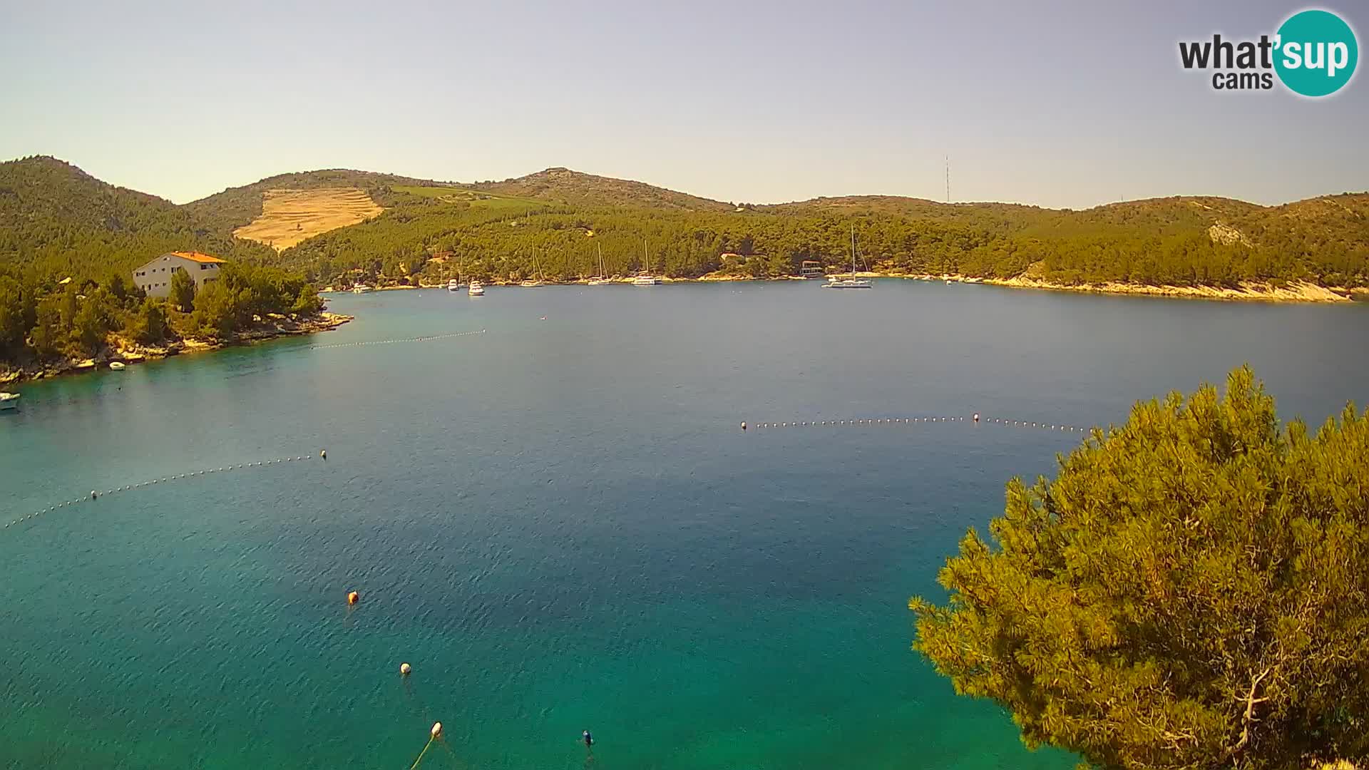 Live cam Hvar Vira plage | Île de Hvar | Dalmatie