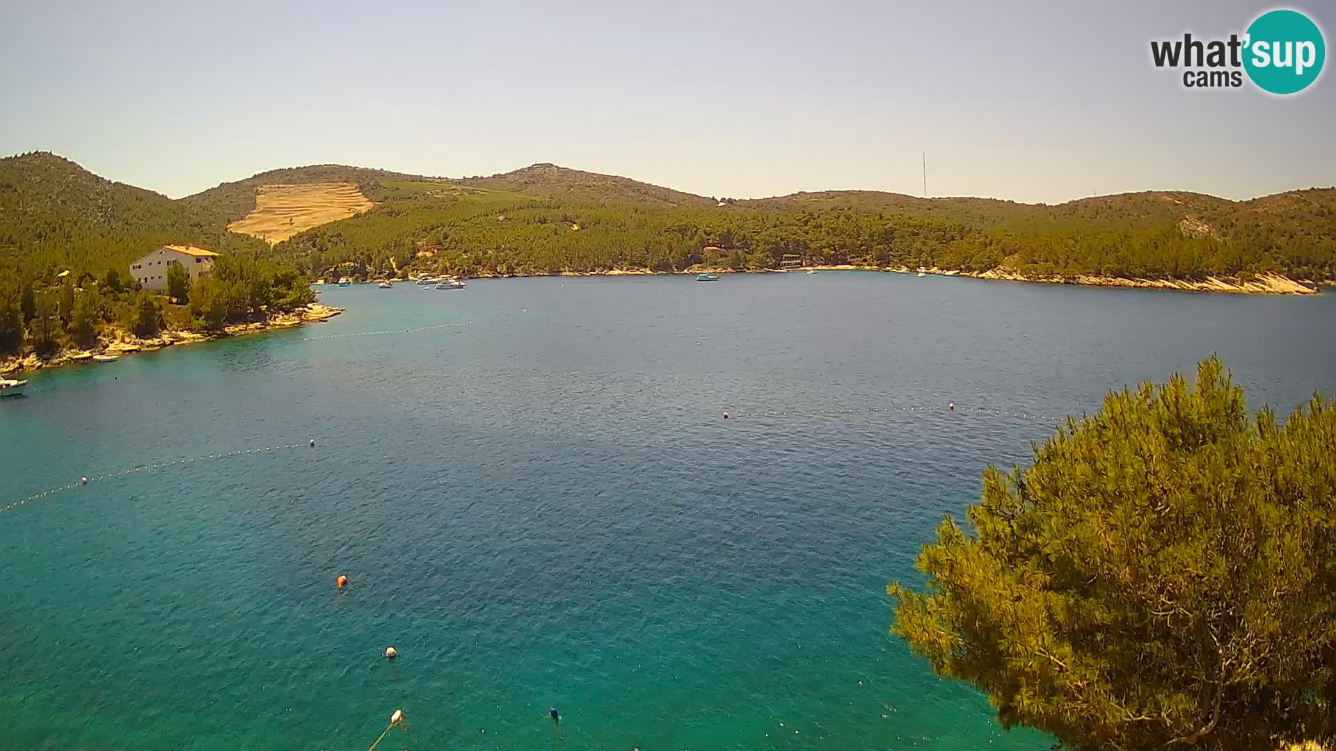 Hvar webcam Vira Strand | Hvar Insel | Dalmatien