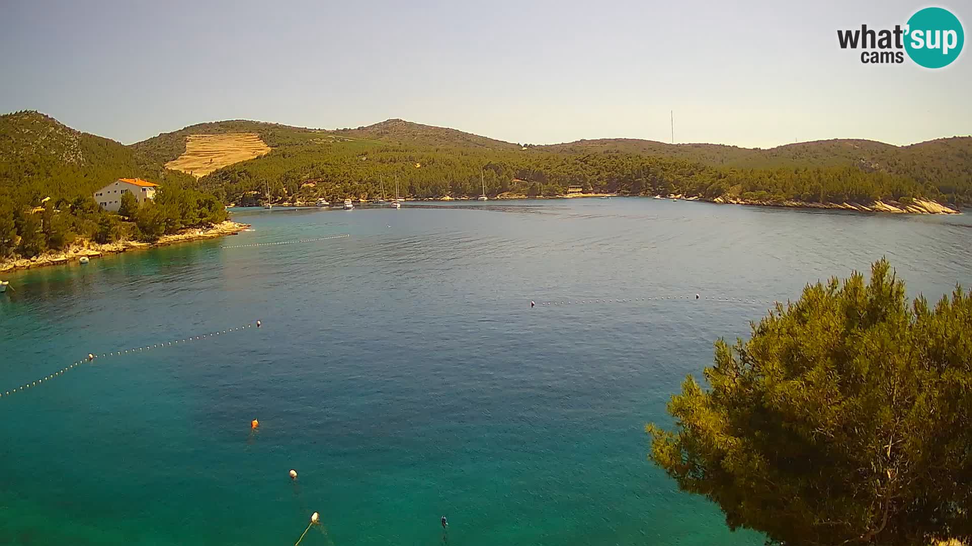 Hvar webcam Vira Strand | Hvar Insel | Dalmatien
